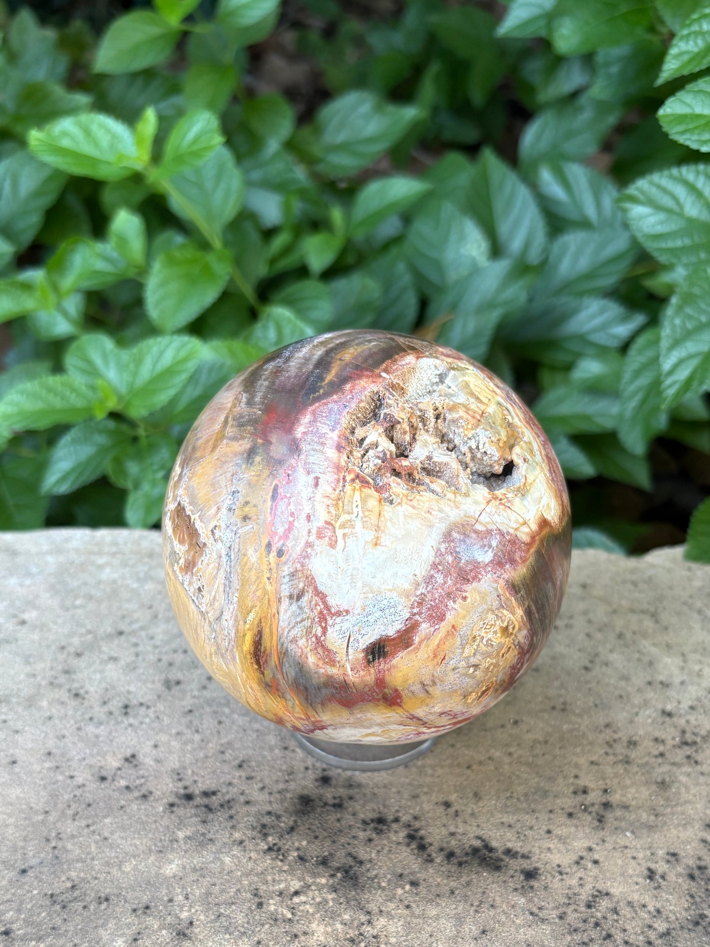 Petrified Wood Sphere with Open Cavern - Grounding • Ancient Wisdom • Transformation