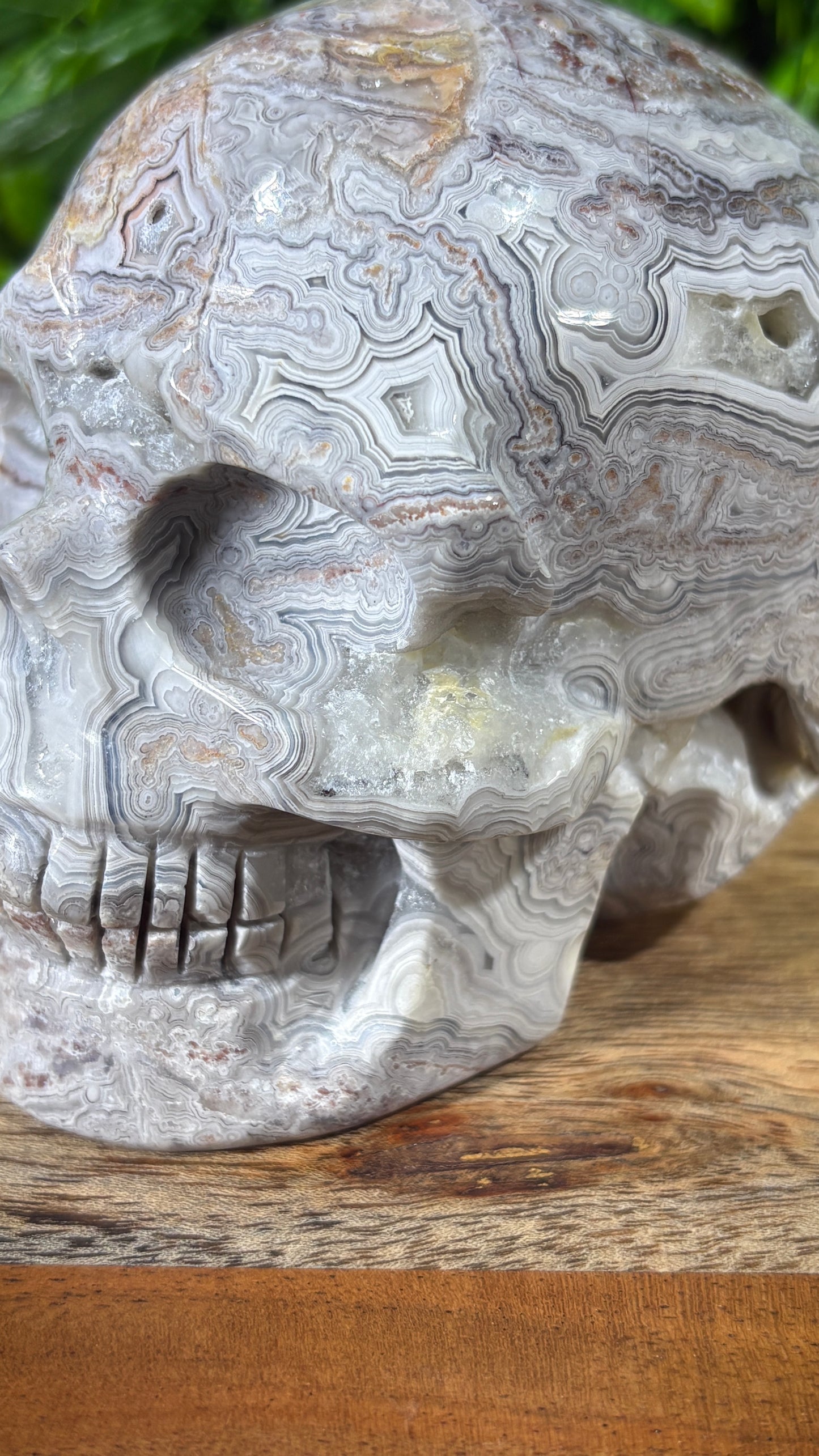 White Mexican Lace Agate Skull -  Balance • Clarity • Grounding