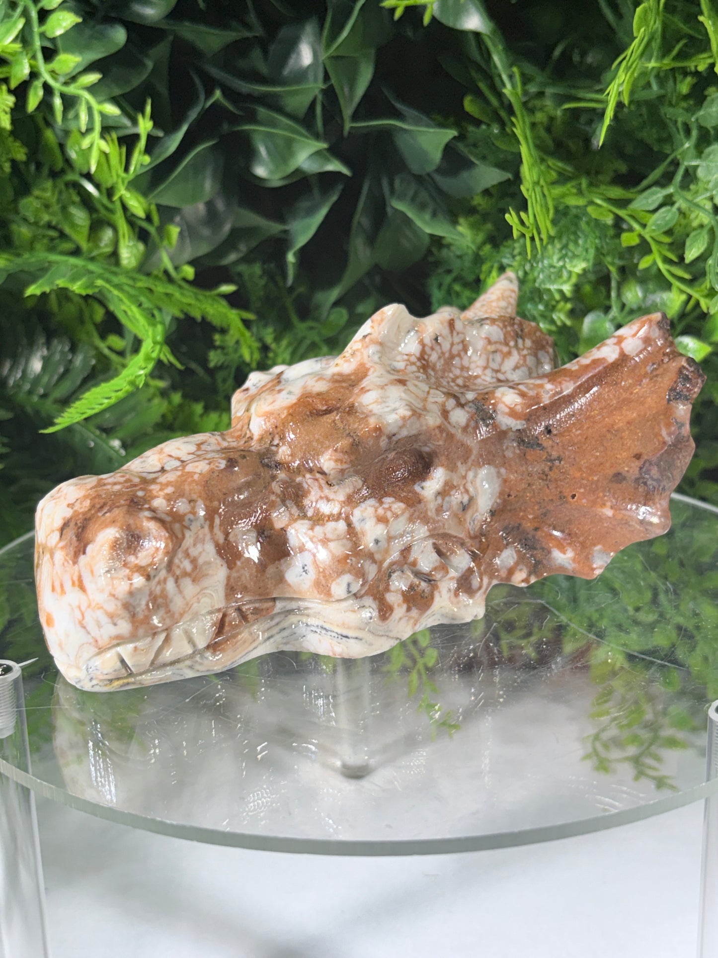 Amber Calcite Dragon Head Carving - Confidence • Joy • Empowered Energy