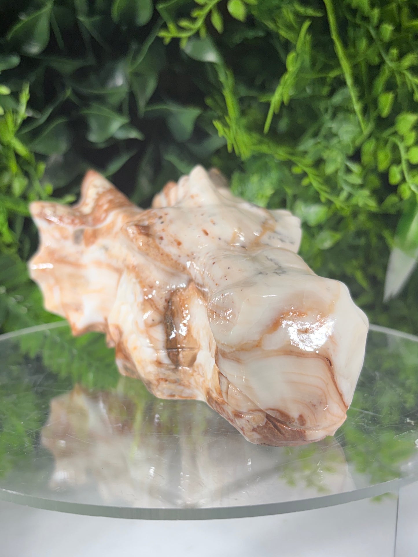 Amber Calcite Dragon Head Carving - Confidence • Clarity • Ancient Wisdom