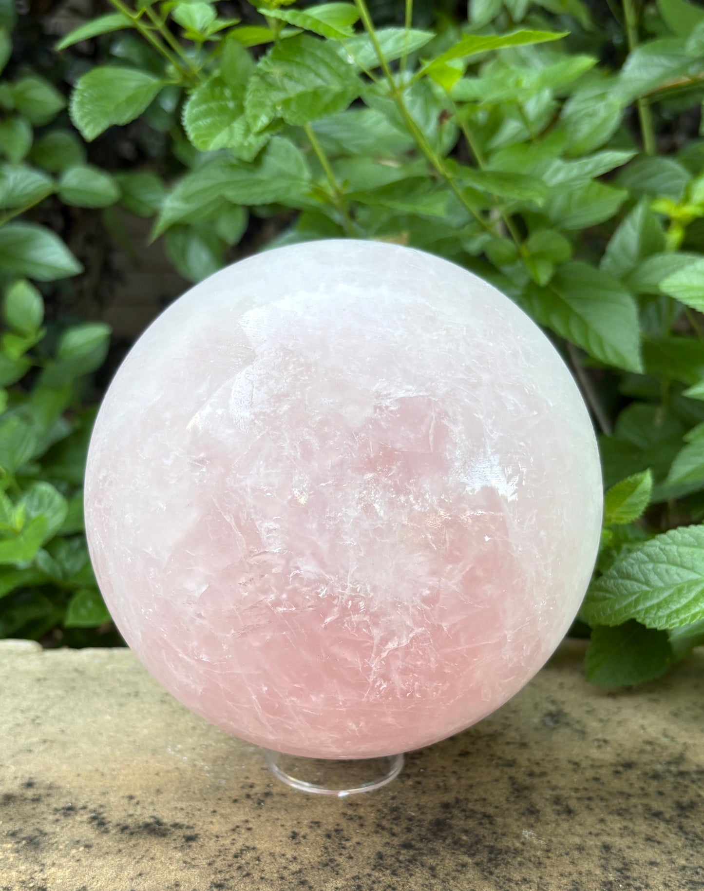 Large Rose Quartz Sphere 10.27 lbs. Love & Compassion