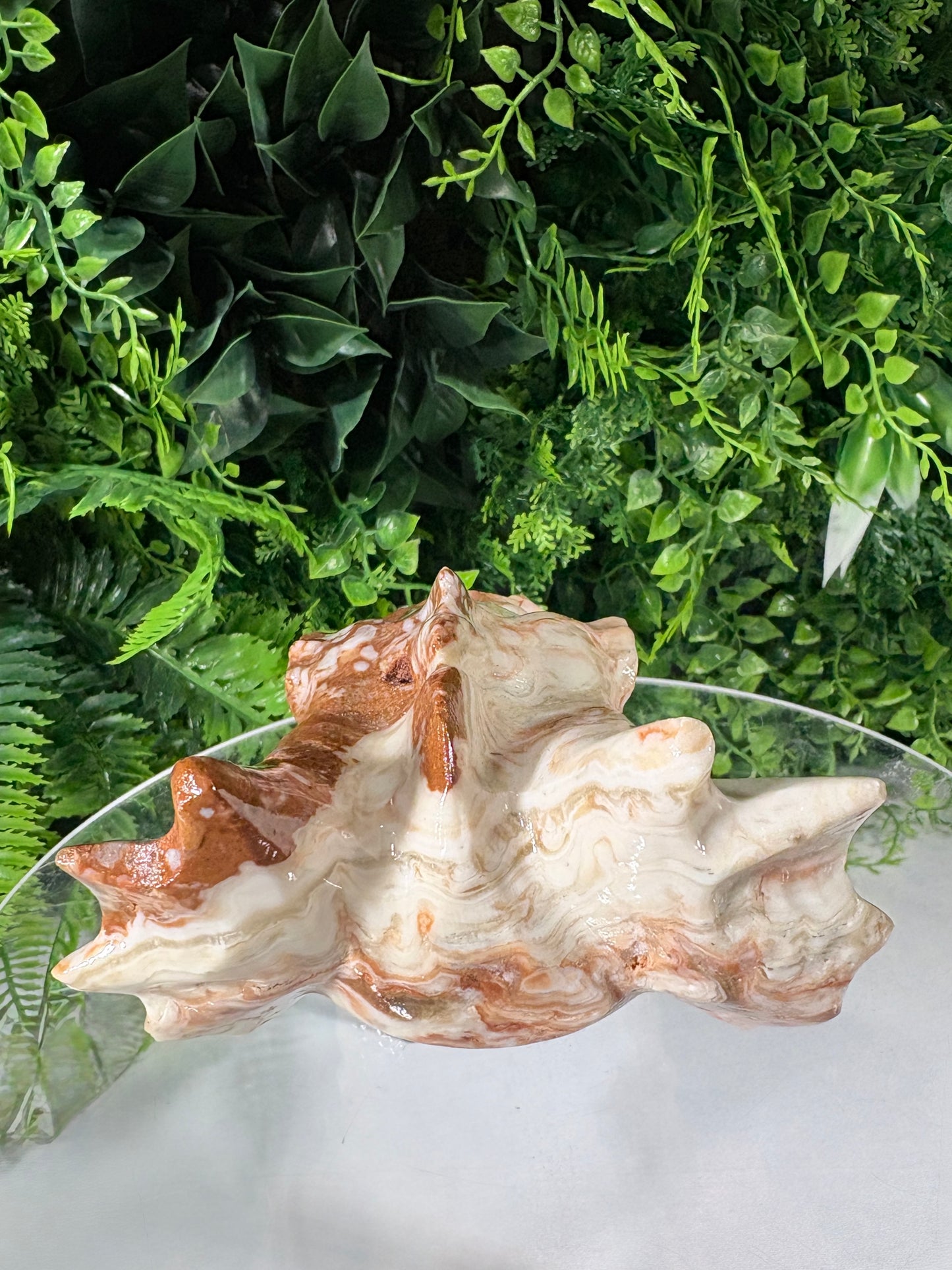 Carved Amber Calcite Dragon Head - Confidence • Joy • Empowered Energy