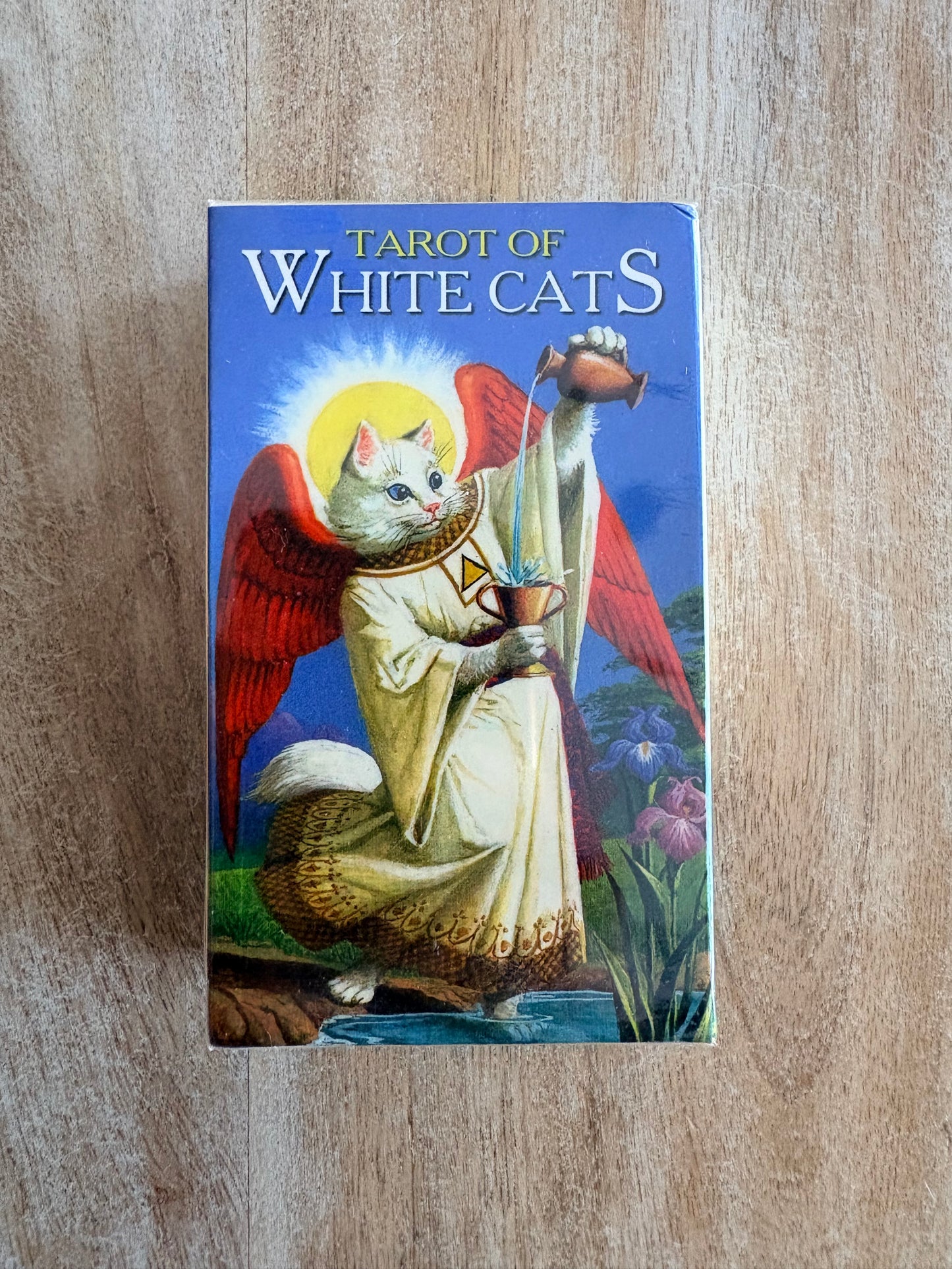 🔮 Tarot & Oracle Cards — Cosmic Guides With Attitude