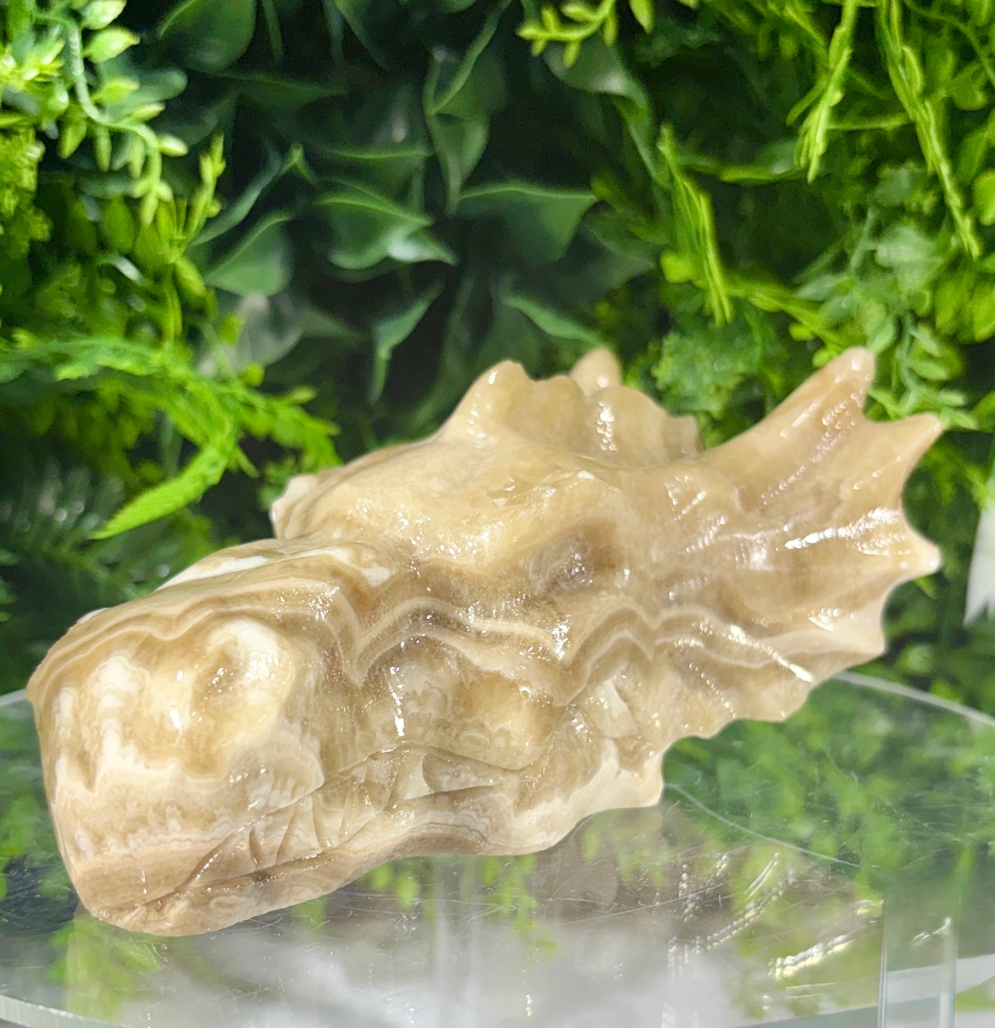 Sir Taupsalot – Natural Banded Calcite Dragon Carving -Ancient Wisdom • Grounded Confidence • Steady Strength