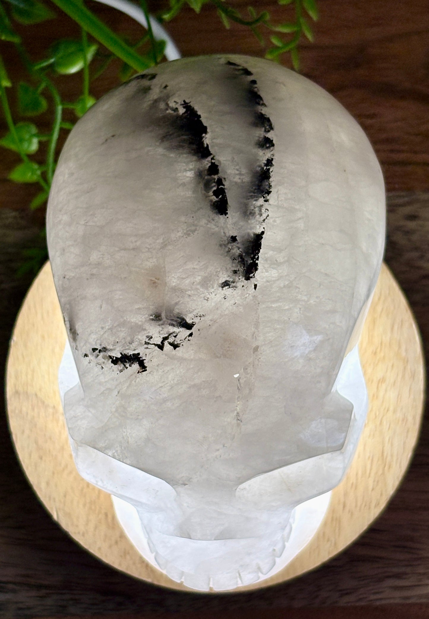 4.5" Tourmalinated Quartz Skull Protection • Clarity • Grounding - 2.20 lbs.