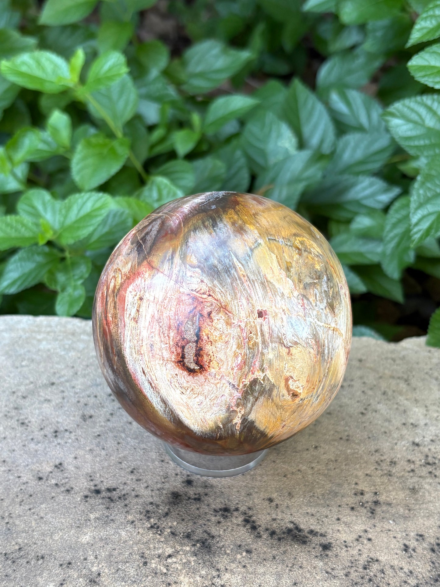 Petrified Wood Sphere with Open Cavern - Grounding • Ancient Wisdom • Transformation