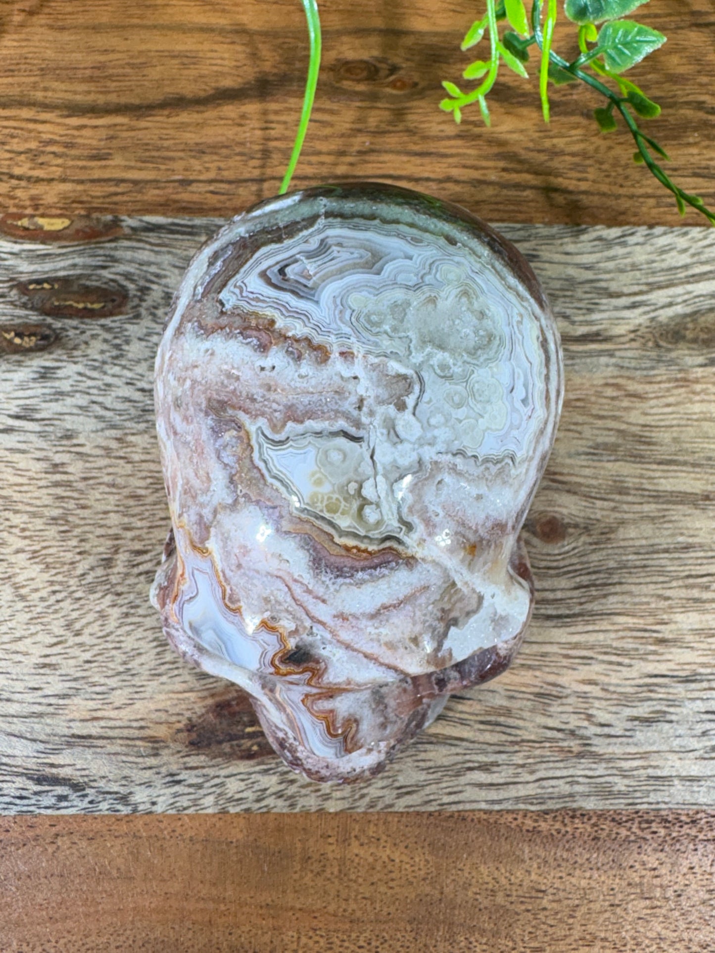White Mexican Lace Agate Skull -  Balance • Clarity • Grounding