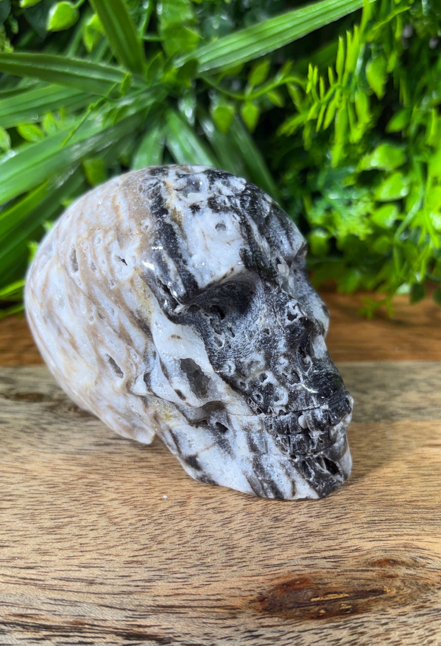 Sphalerite Skull with Druzy Caverns -  Grounding • Confidence • Transformation