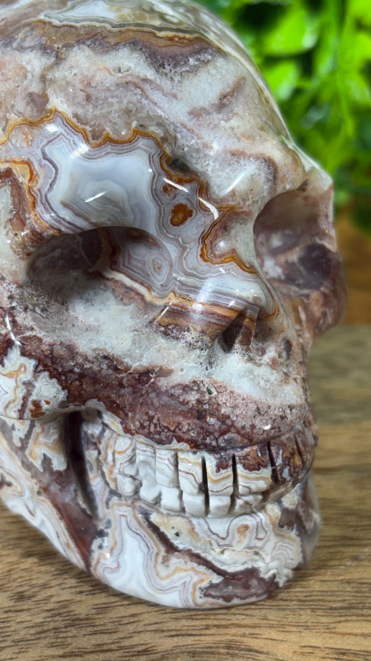 White Mexican Lace Agate Skull -  Balance • Clarity • Grounding