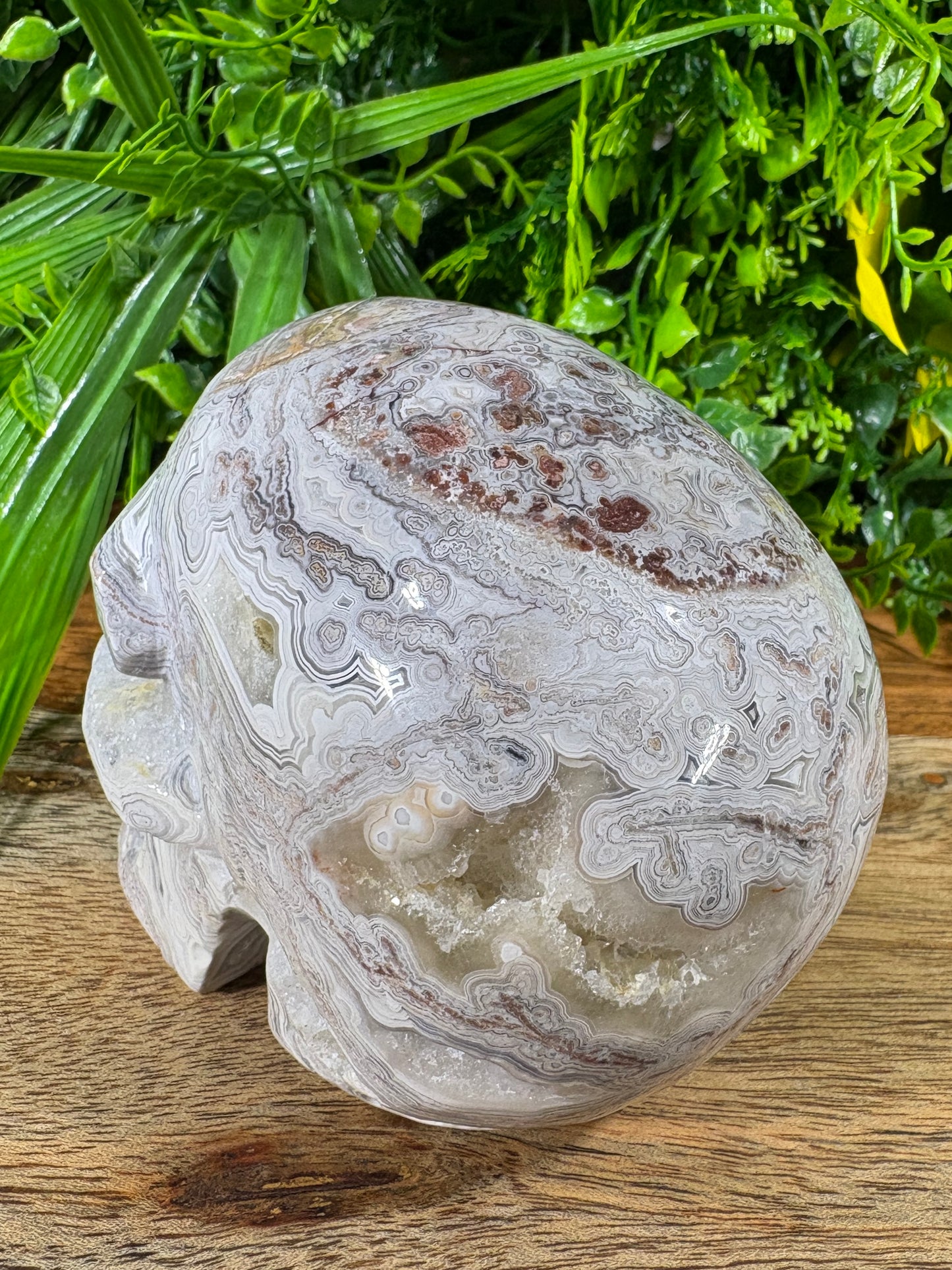 White Mexican Lace Agate Skull -  Balance • Clarity • Grounding