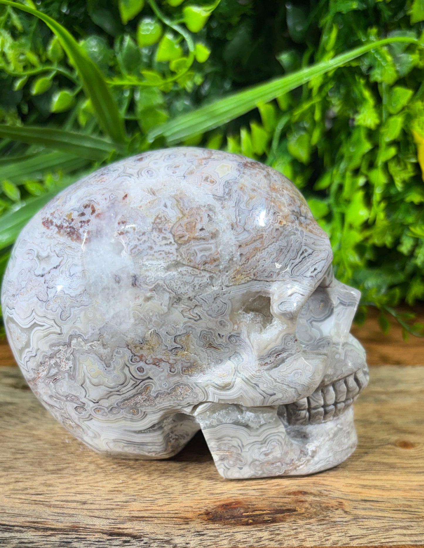 White Mexican Lace Agate Skull -  Balance • Clarity • Grounding