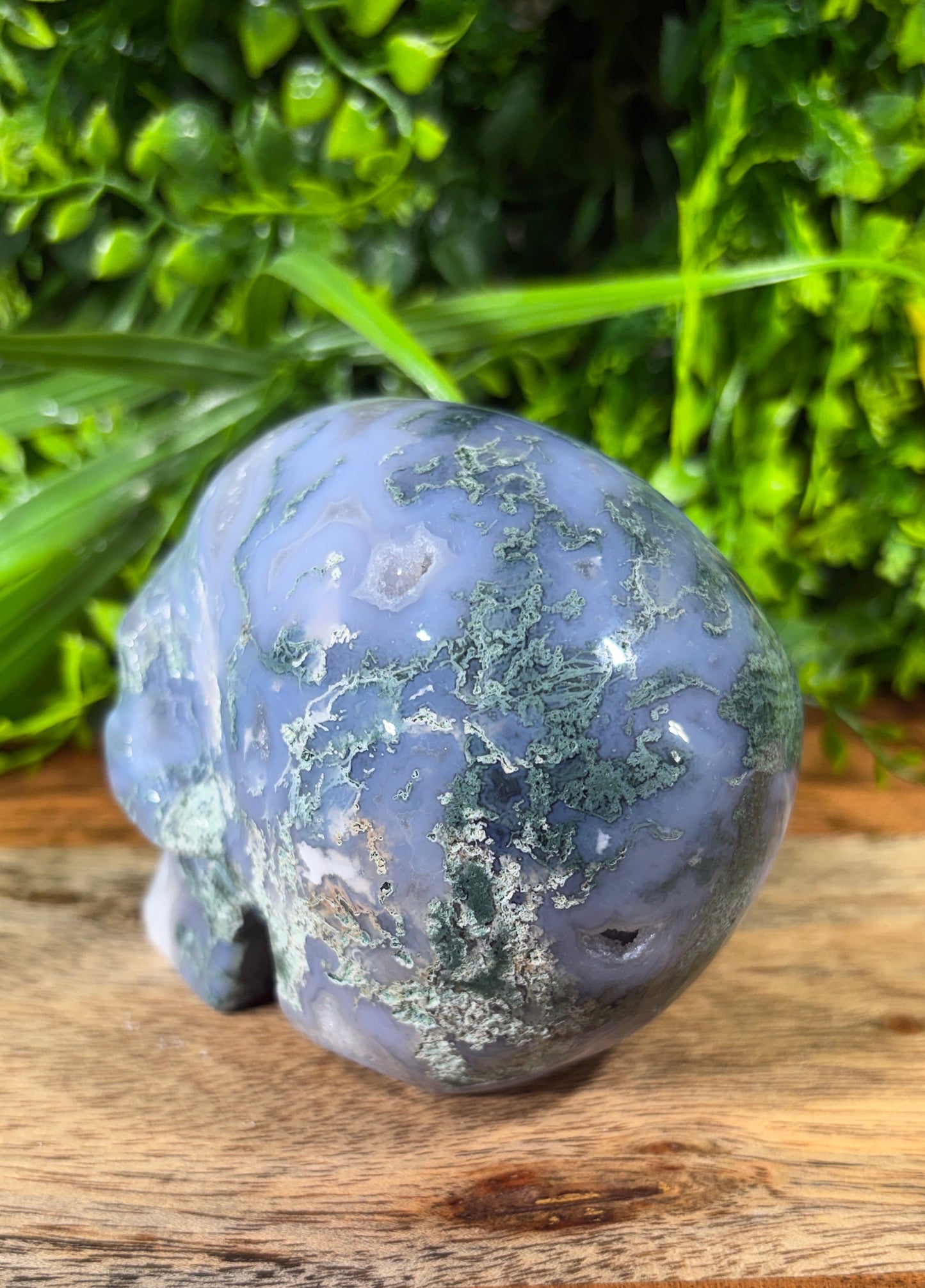 Moss Agate Skull -  Grounding • Growth • Abundance