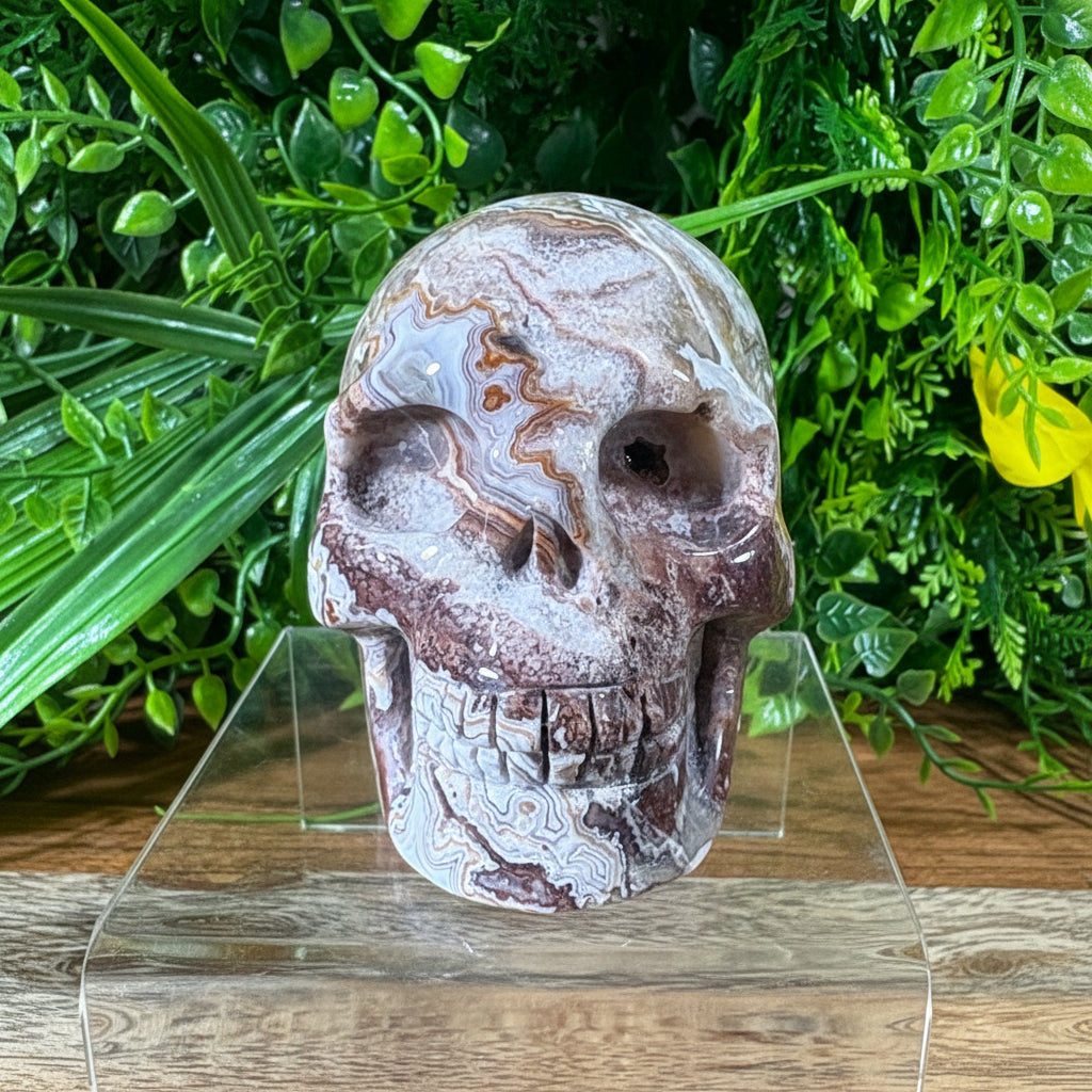 White Mexican Lace Agate Skull -  Balance • Clarity • Grounding