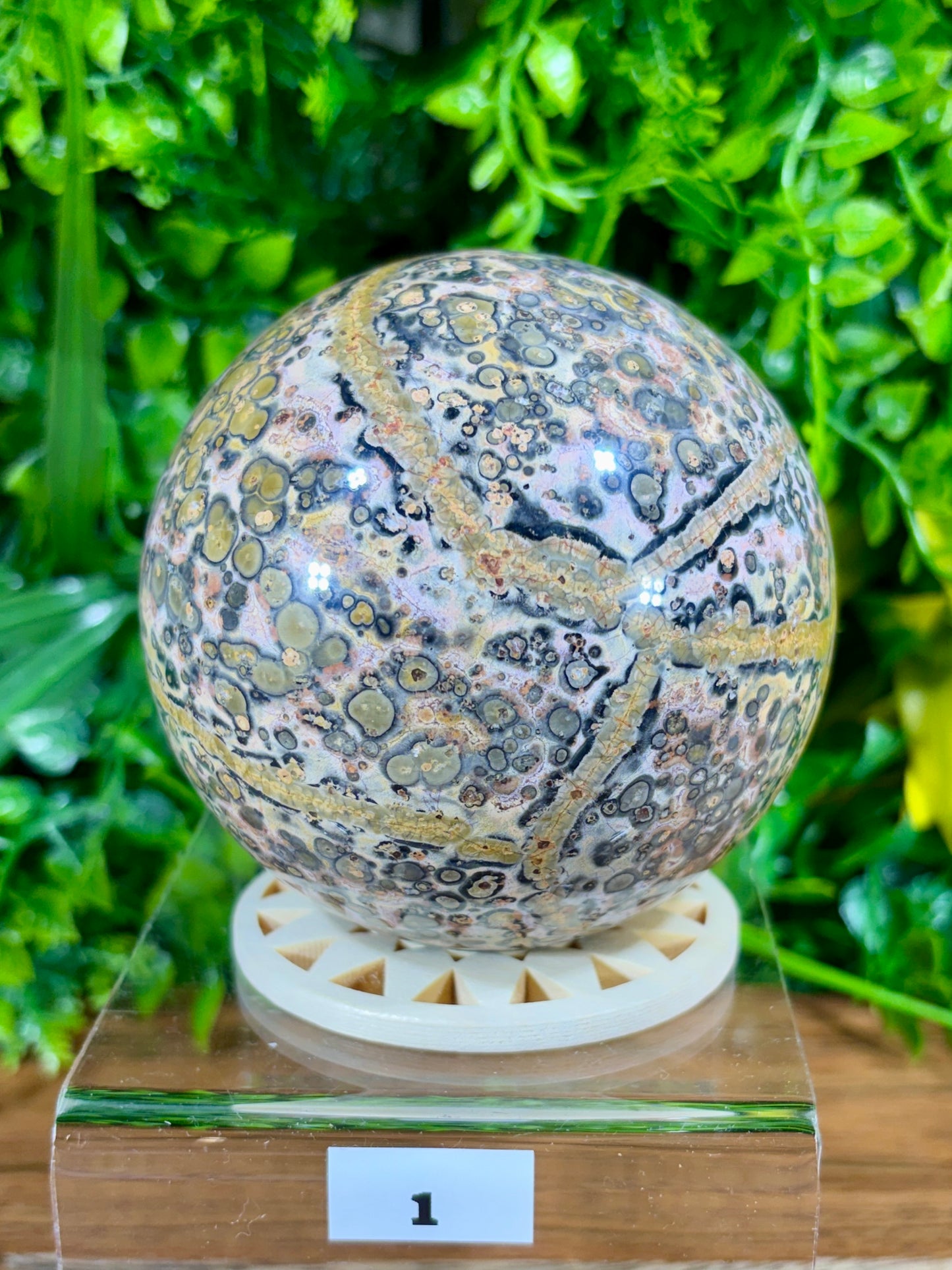 Leopard Skin Jasper Spheres Confidence • Grounding • Adventure