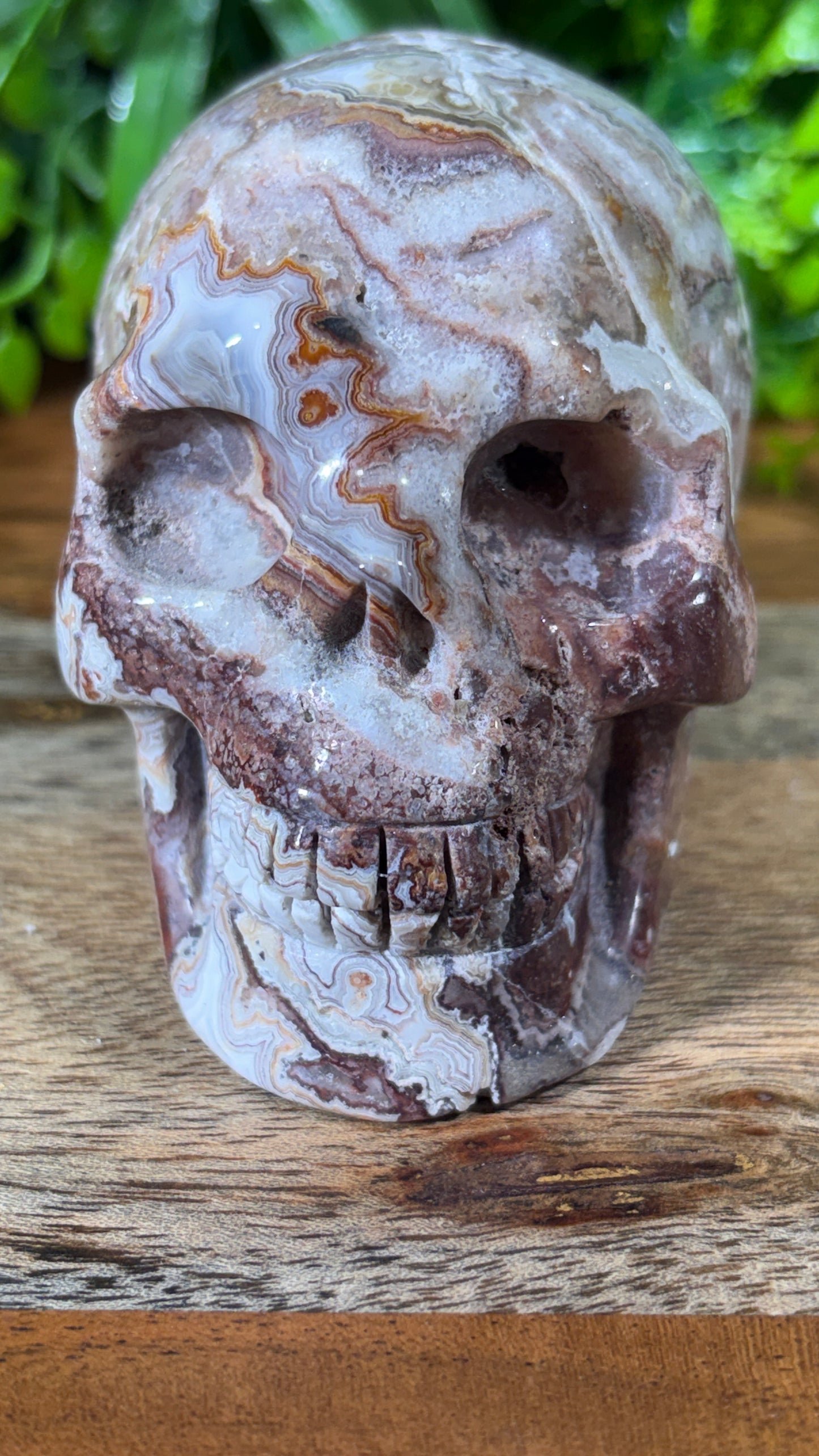 White Mexican Lace Agate Skull -  Balance • Clarity • Grounding