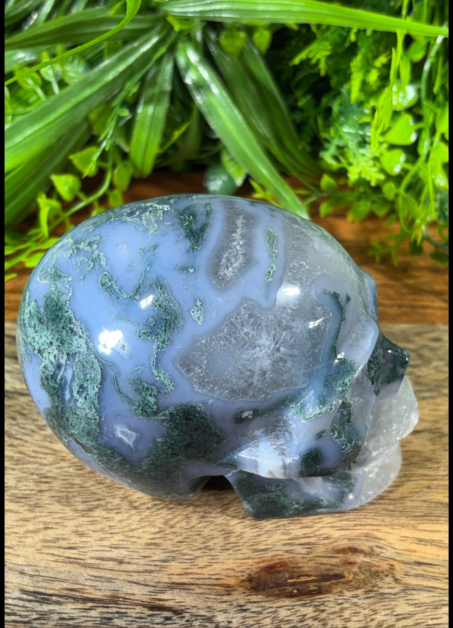 Moss Agate Skull -  Grounding • Growth • Abundance