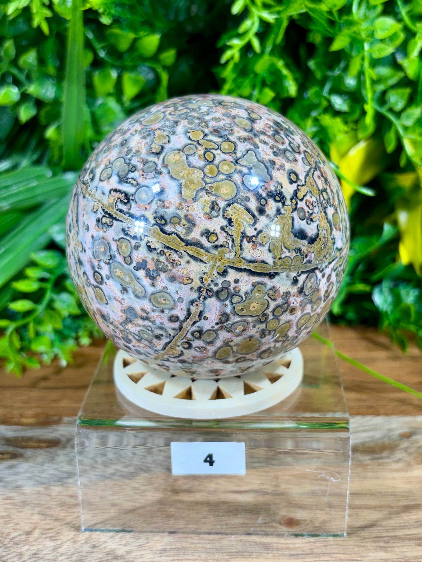 Leopard Skin Jasper Spheres Confidence • Grounding • Adventure