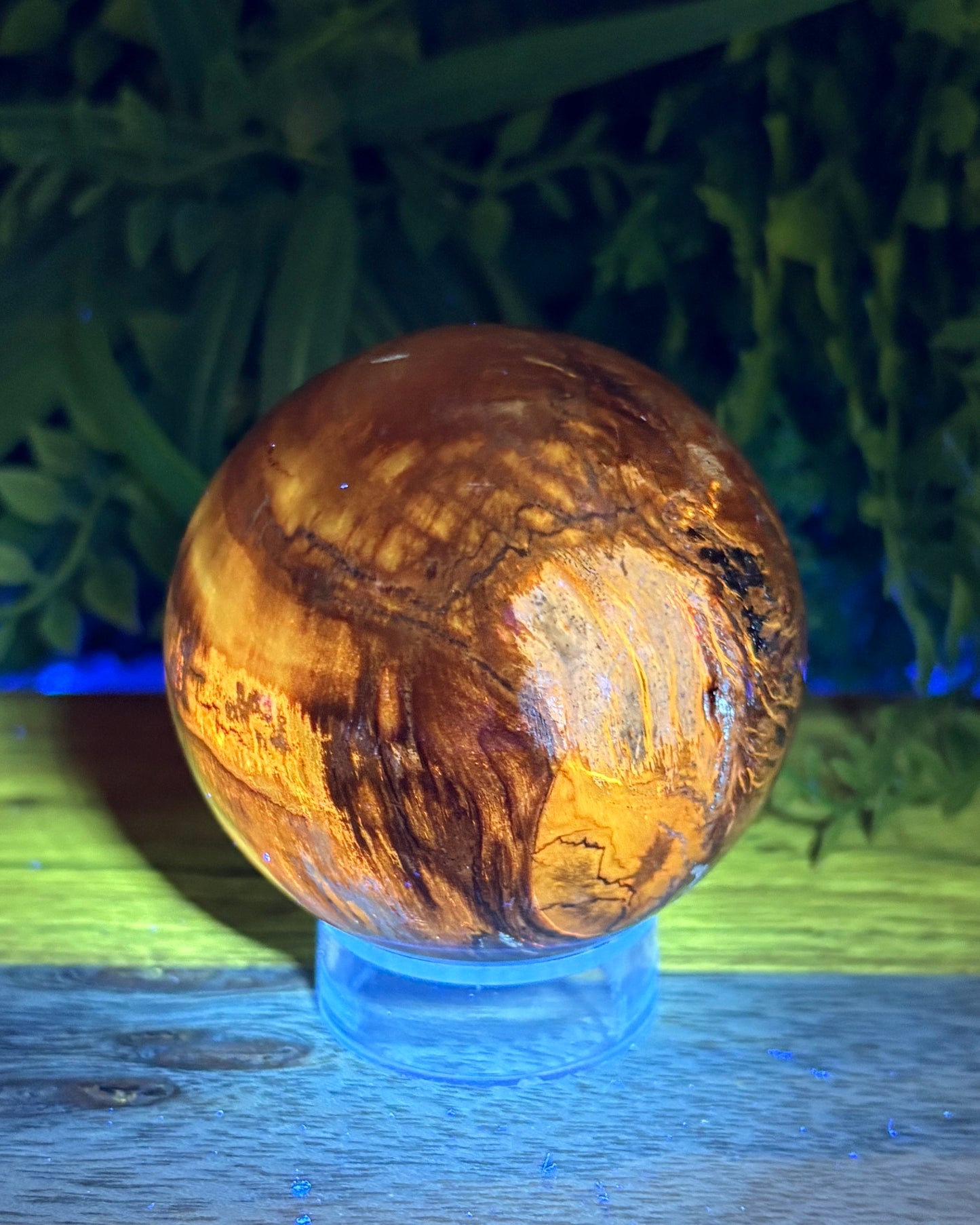 Petrified Wood Sphere • 59mm - Grounding • Ancient Wisdom • Transformation