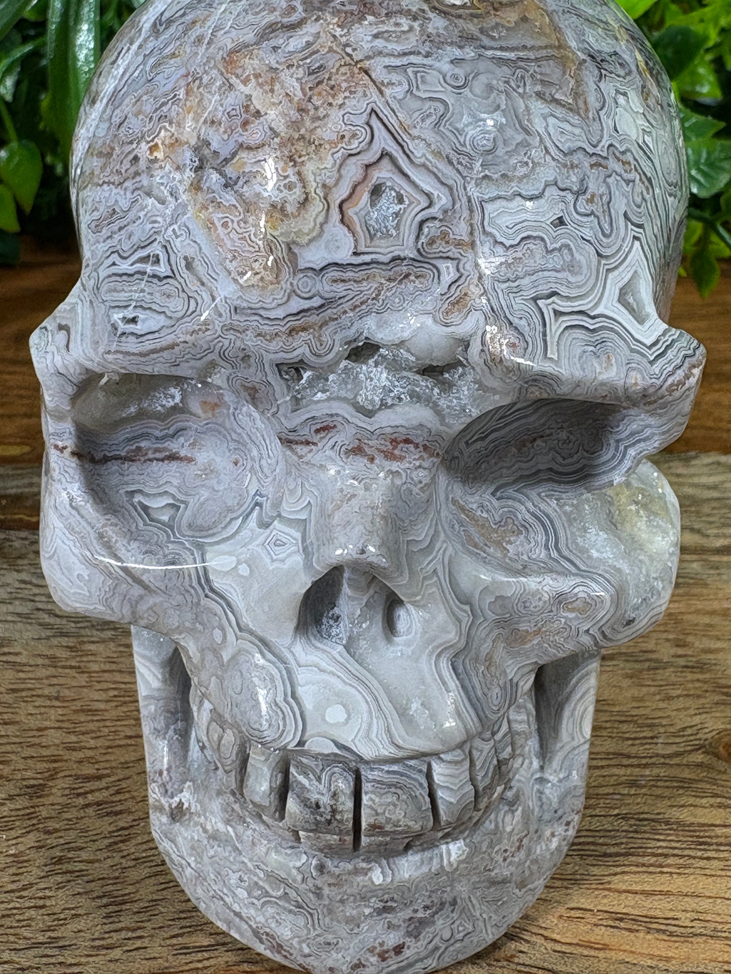 White Mexican Lace Agate Skull -  Balance • Clarity • Grounding