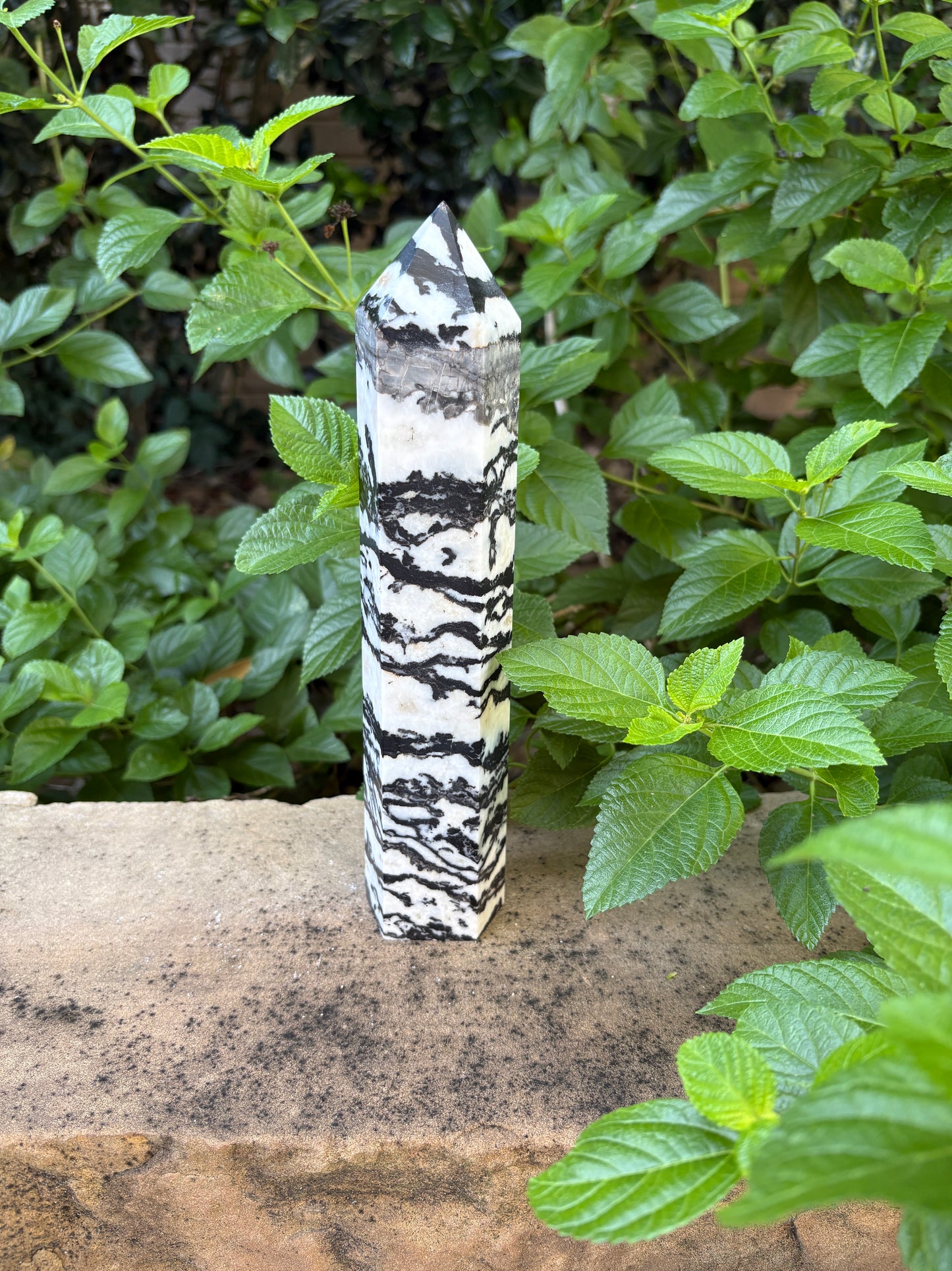Zebra Jasper Tower - Grounding • Balance • Determination