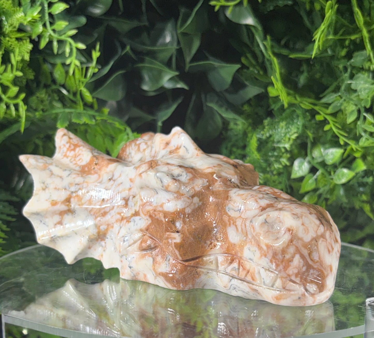 Amber Calcite Dragon Head Carving - Confidence • Joy • Empowered Energy