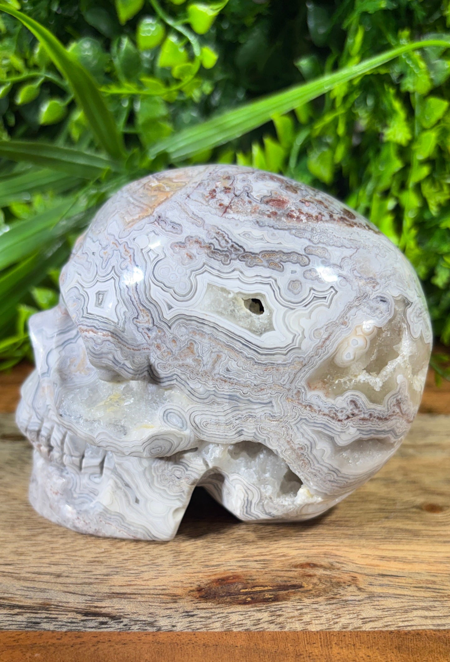 White Mexican Lace Agate Skull -  Balance • Clarity • Grounding