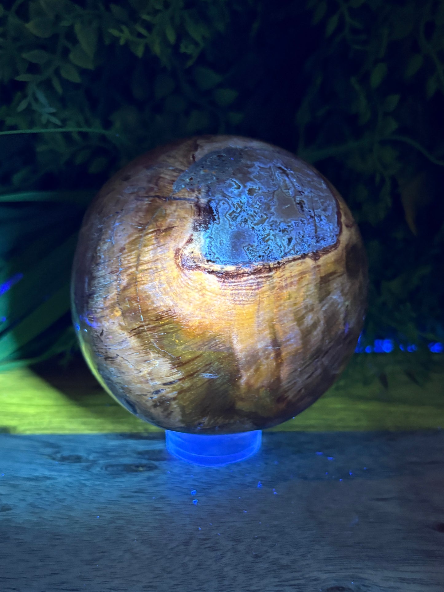 Petrified Wood Sphere with Open Cavern - Grounding • Ancient Wisdom • Transformation