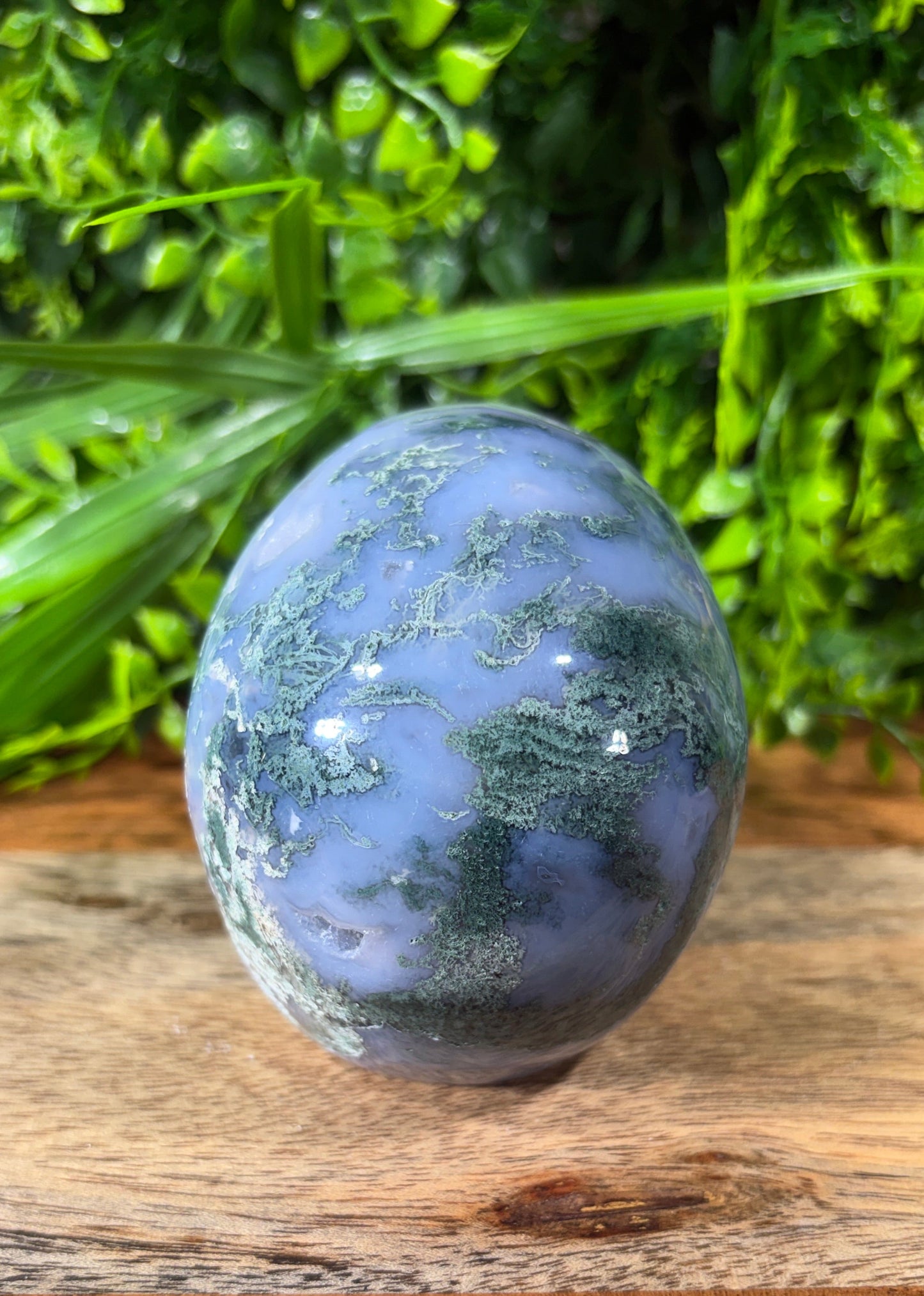 Moss Agate Skull -  Grounding • Growth • Abundance