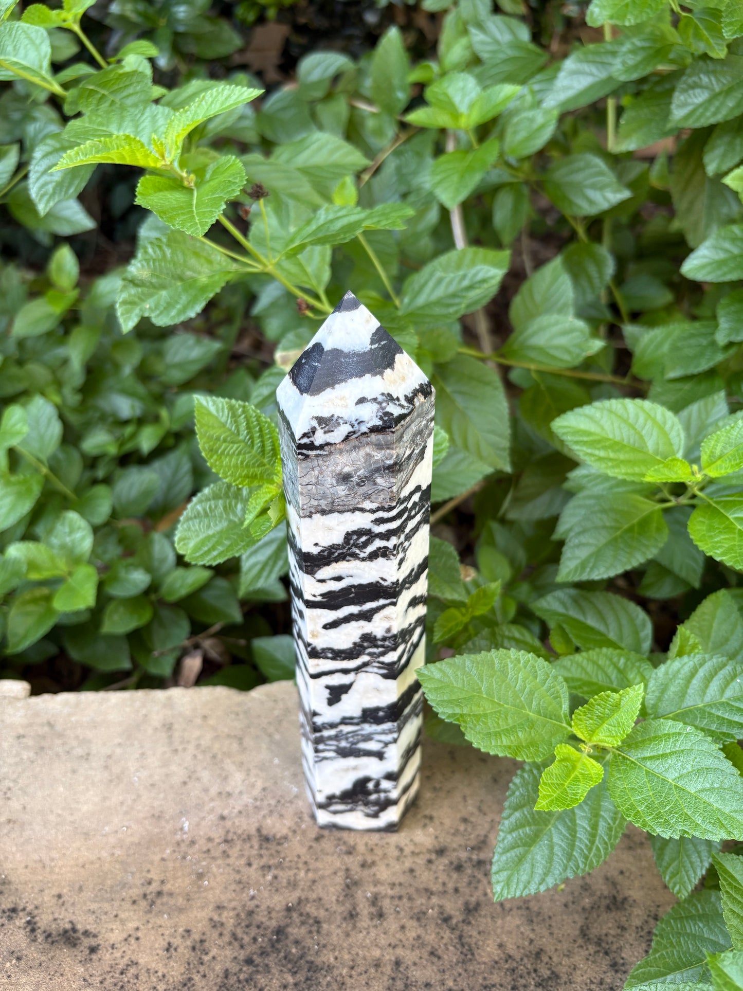 Zebra Jasper Tower - Grounding • Balance • Determination