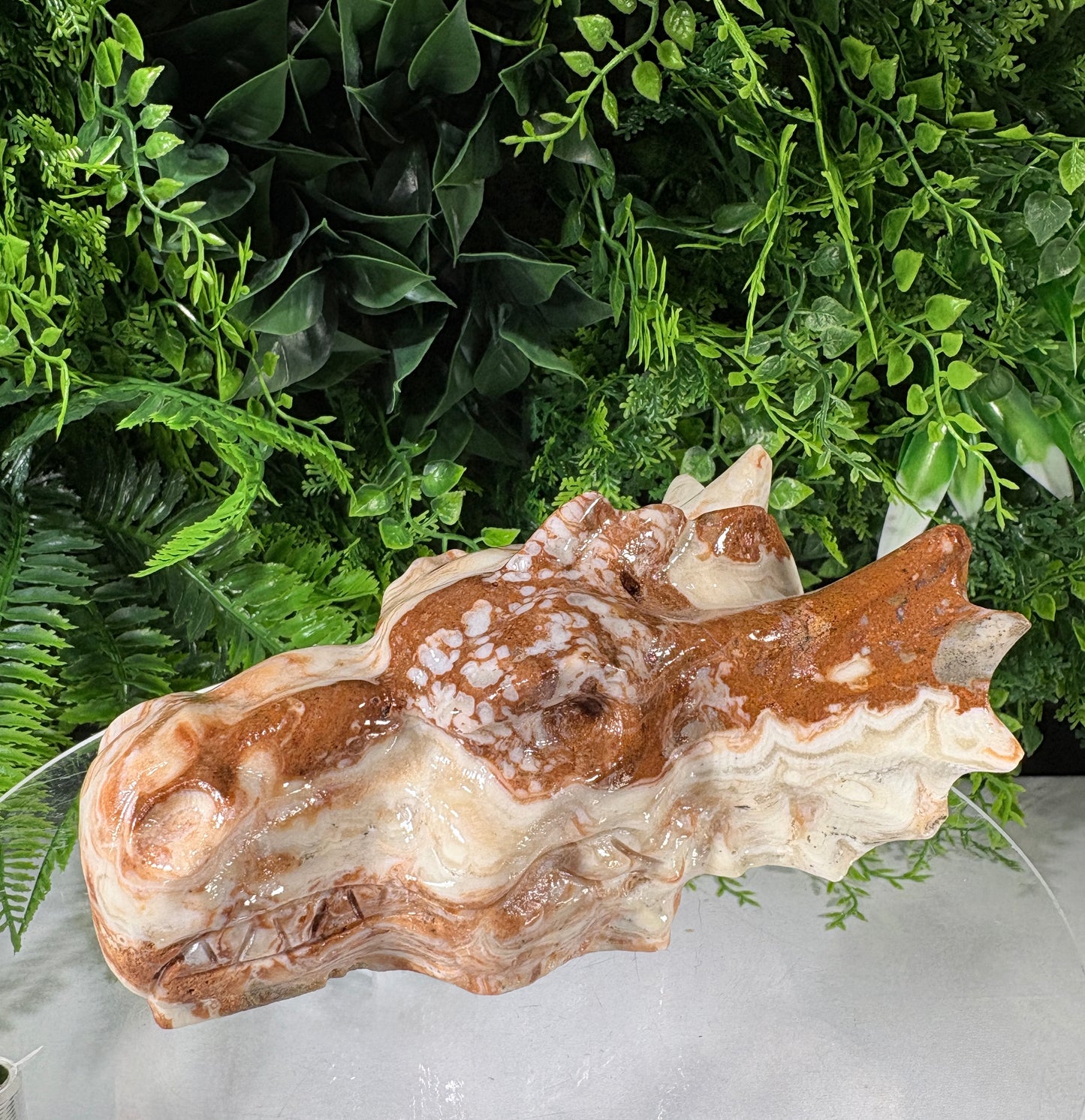 Carved Amber Calcite Dragon Head - Confidence • Joy • Empowered Energy