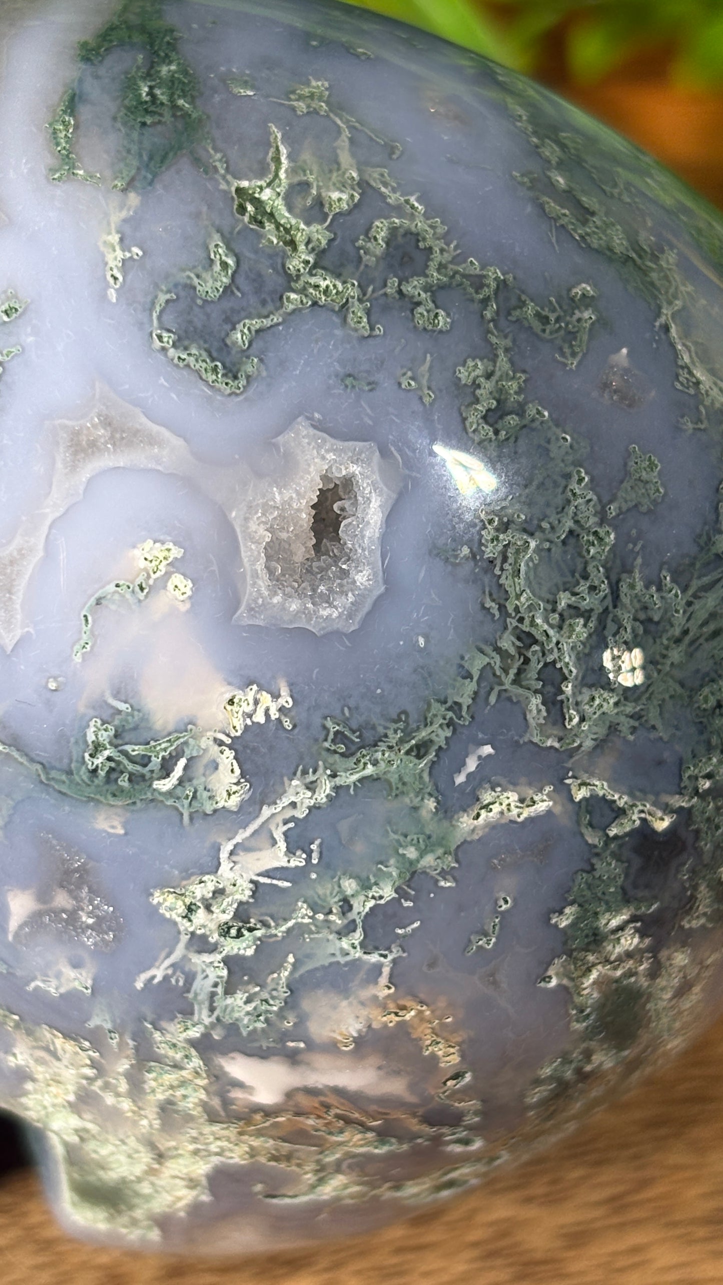 Moss Agate Skull -  Grounding • Growth • Abundance