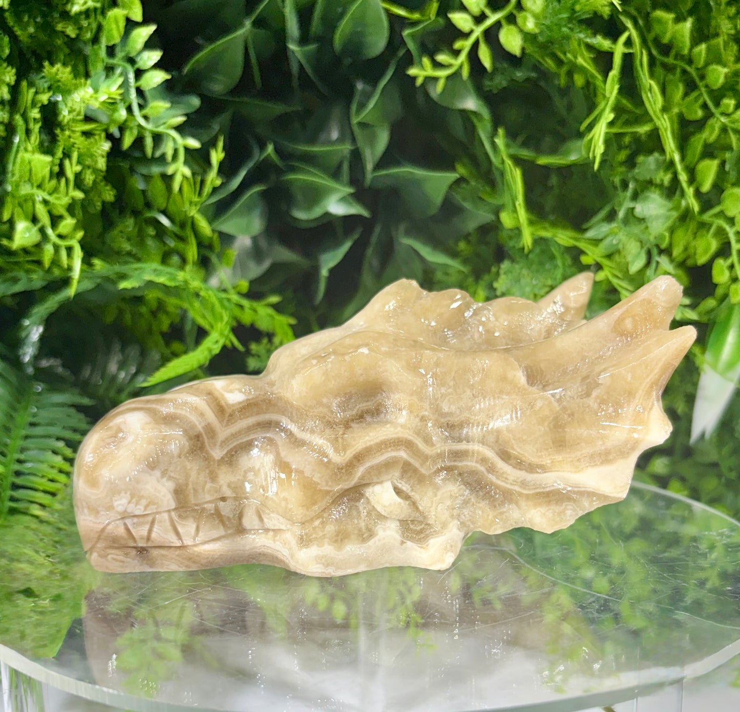 Sir Taupsalot – Natural Banded Calcite Dragon Carving -Ancient Wisdom • Grounded Confidence • Steady Strength