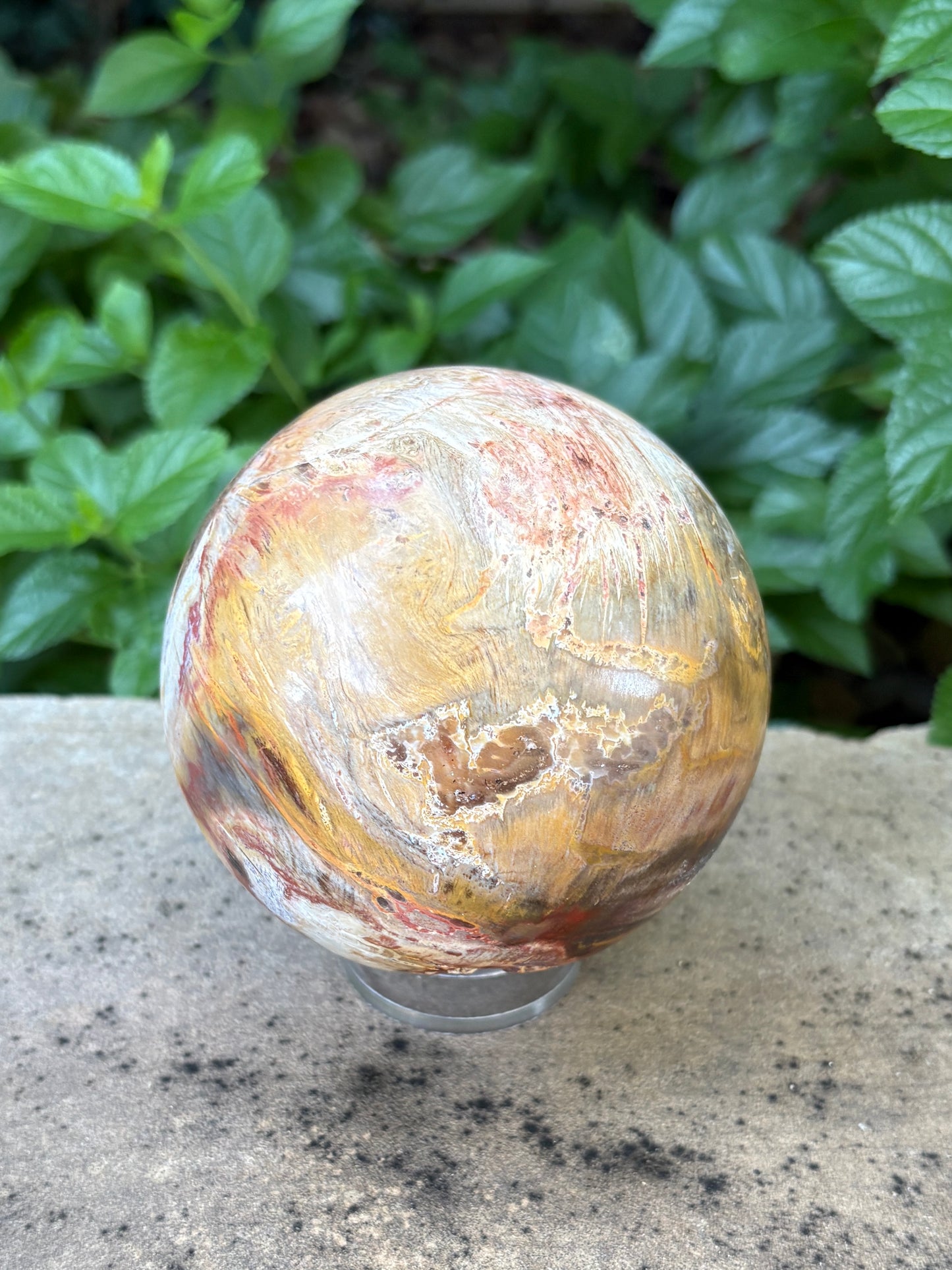 Petrified Wood Sphere with Open Cavern - Grounding • Ancient Wisdom • Transformation