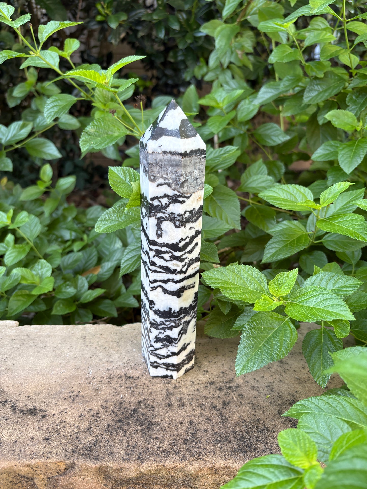 Zebra Jasper Tower - Grounding • Balance • Determination