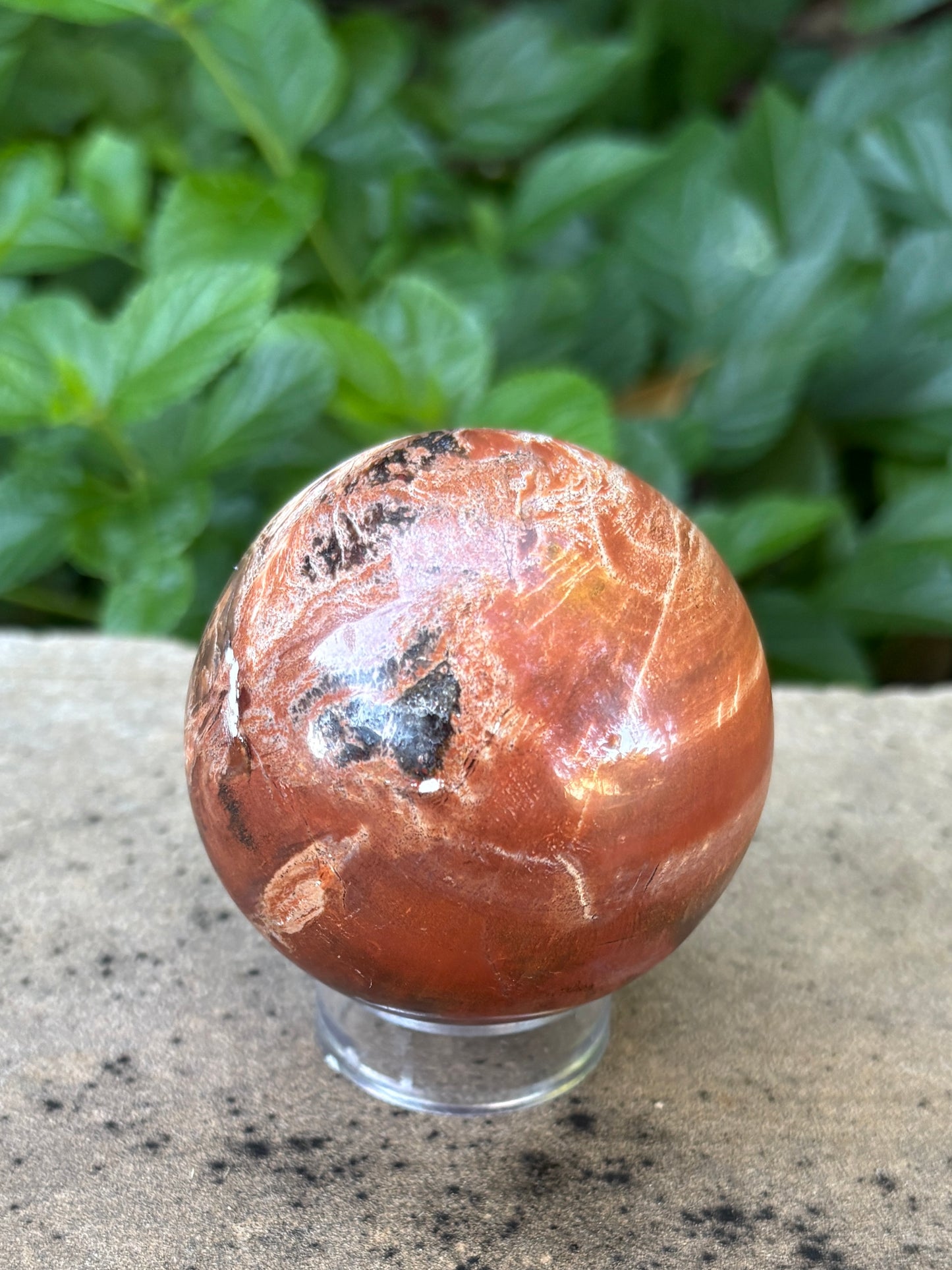 Petrified Wood Sphere • 59mm - Grounding • Ancient Wisdom • Transformation