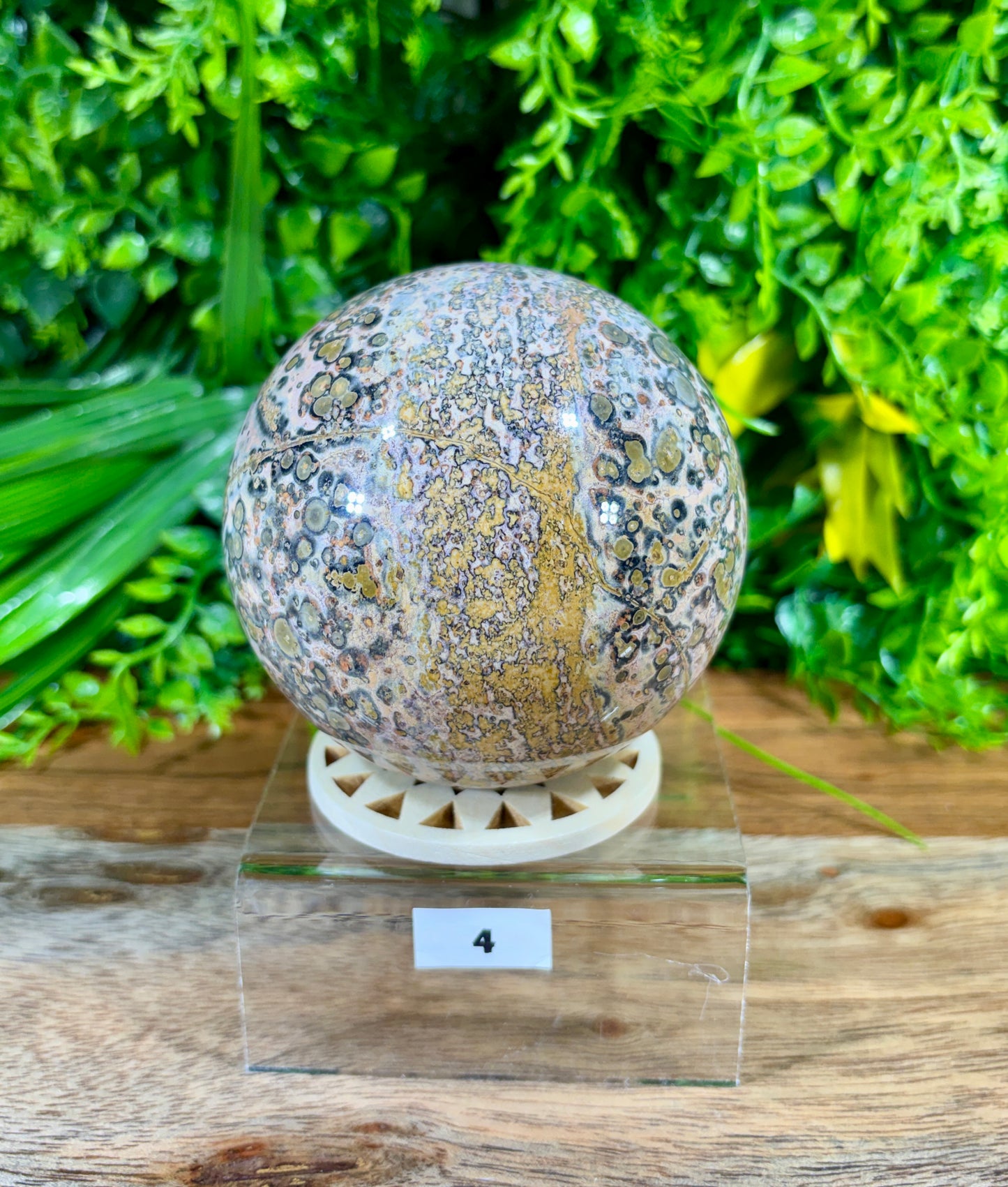Leopard Skin Jasper Spheres Confidence • Grounding • Adventure