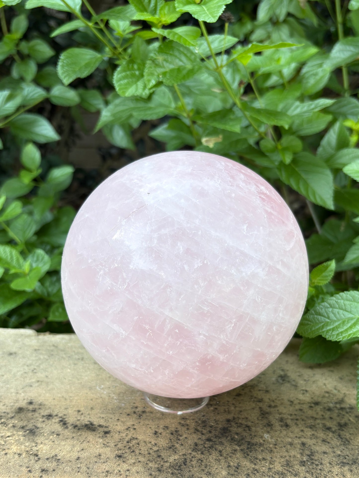 Large Rose Quartz Sphere 10.27 lbs. Love & Compassion