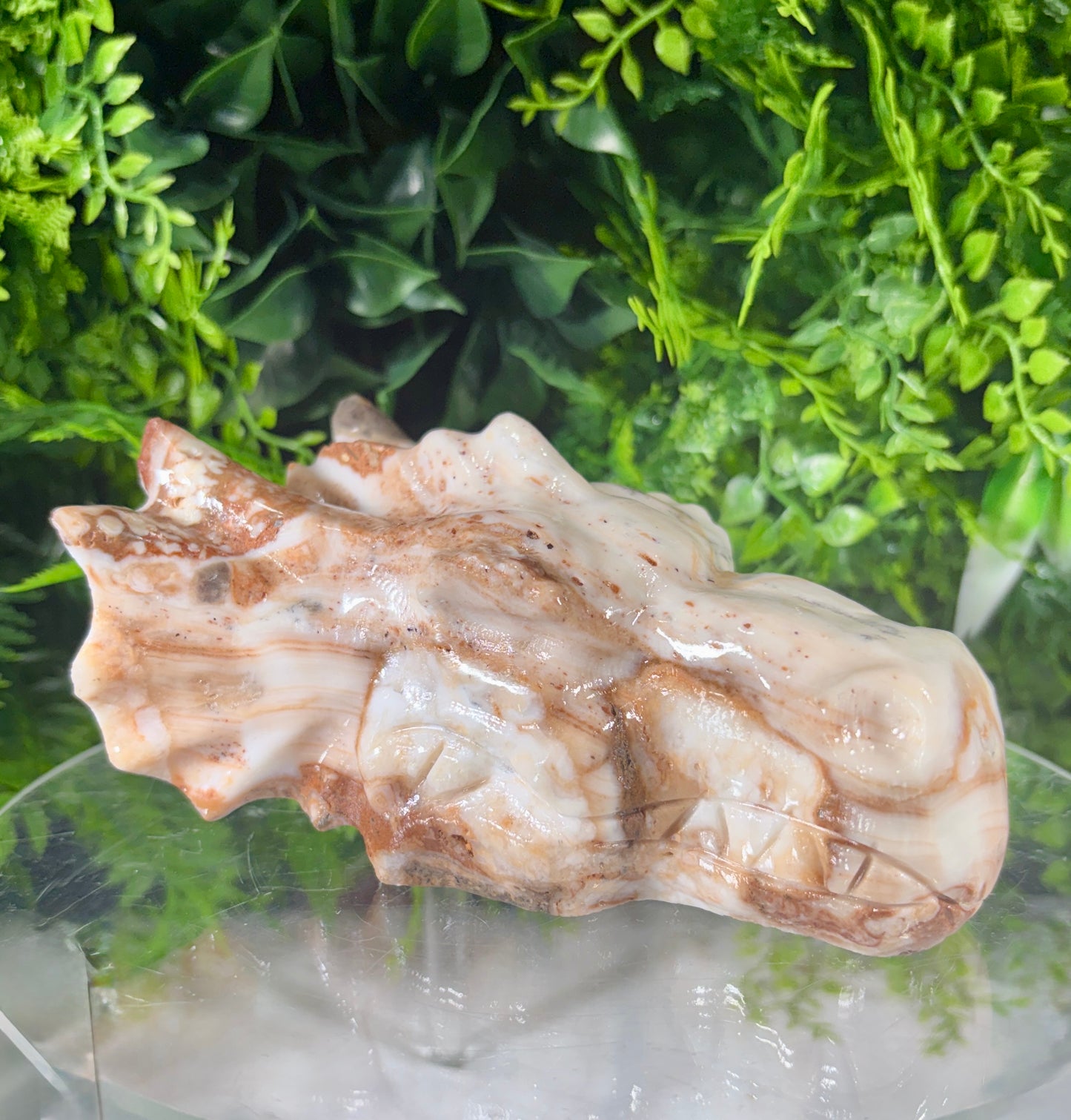 Amber Calcite Dragon Head Carving - Confidence • Clarity • Ancient Wisdom