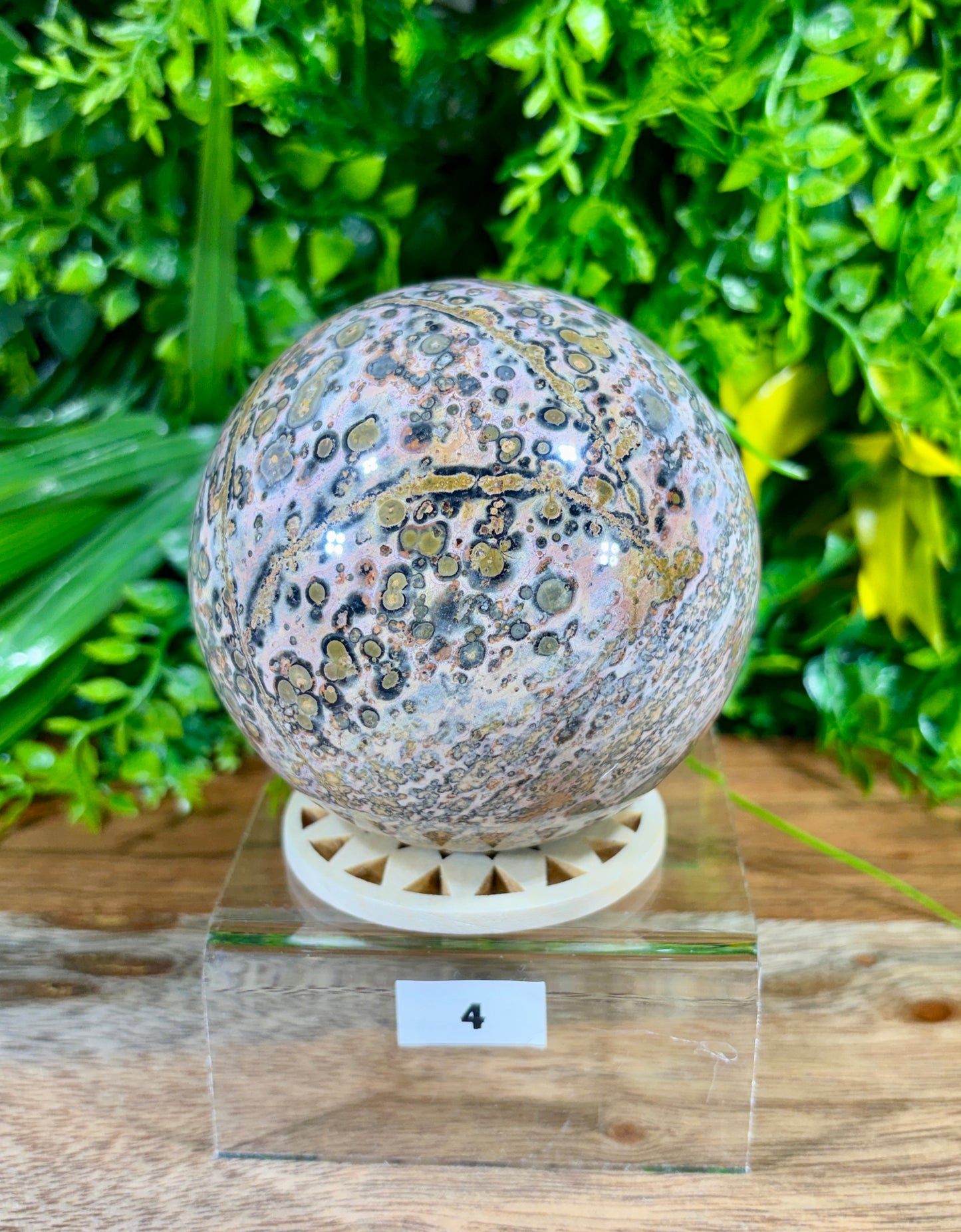 Leopard Skin Jasper Spheres Confidence • Grounding • Adventure