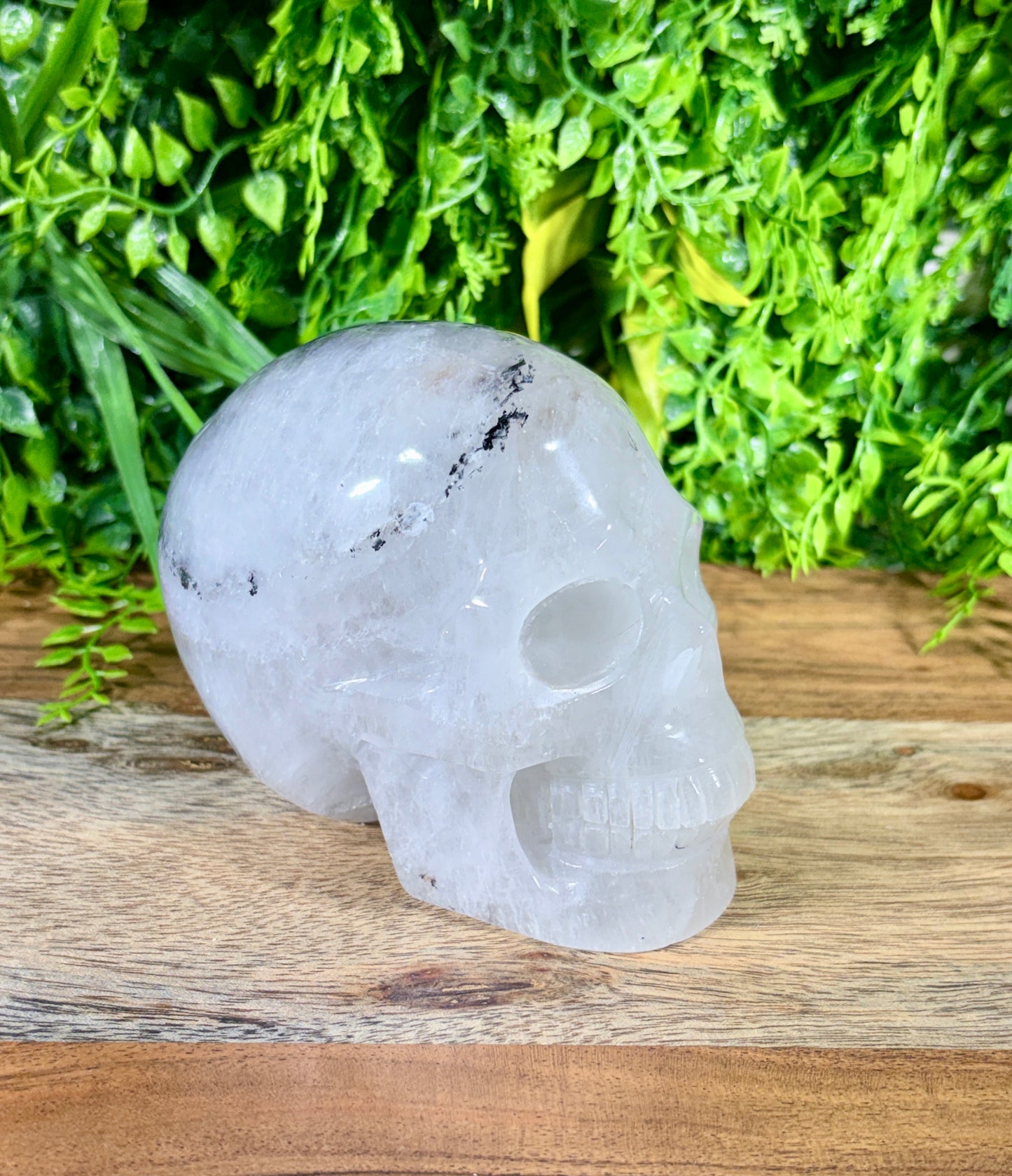 4.5" Tourmalinated Quartz Skull Protection • Clarity • Grounding - 2.20 lbs.