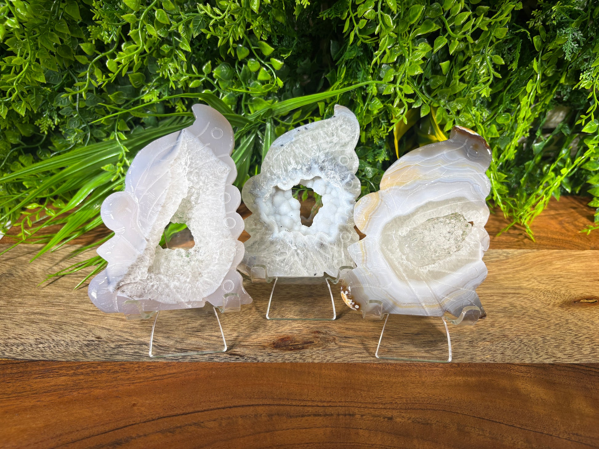 Three decorative agate geode slice wall art pieces displayed on clear stands on a wooden surface, with a lush green foliage background.