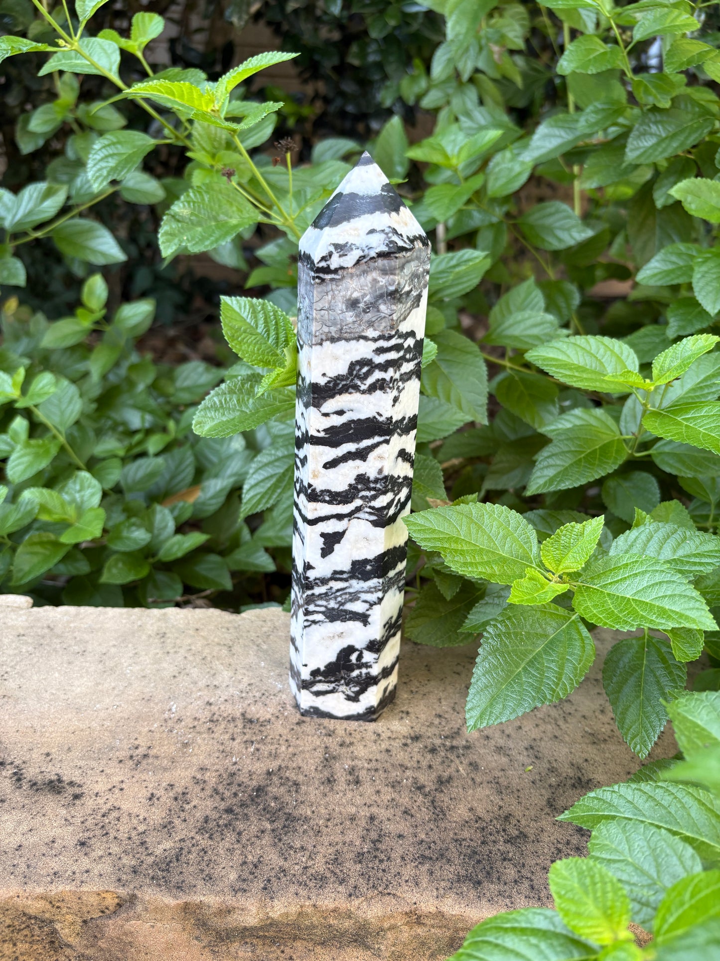 Zebra Jasper Tower - Grounding • Balance • Determination