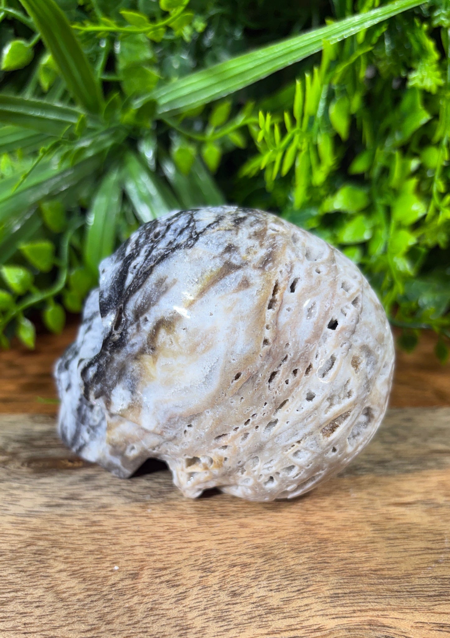 Sphalerite Skull with Druzy Caverns -  Grounding • Confidence • Transformation