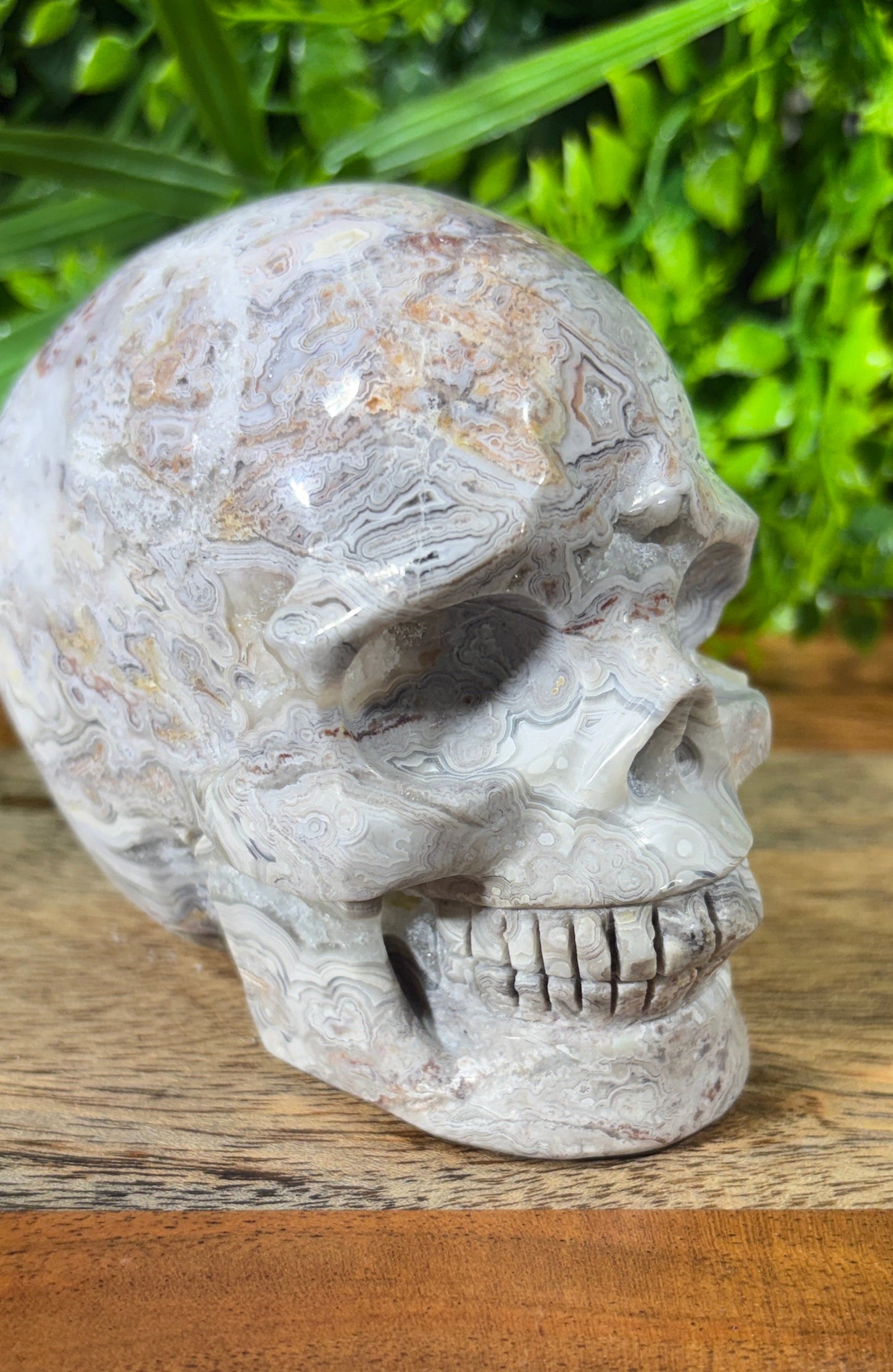 White Mexican Lace Agate Skull -  Balance • Clarity • Grounding