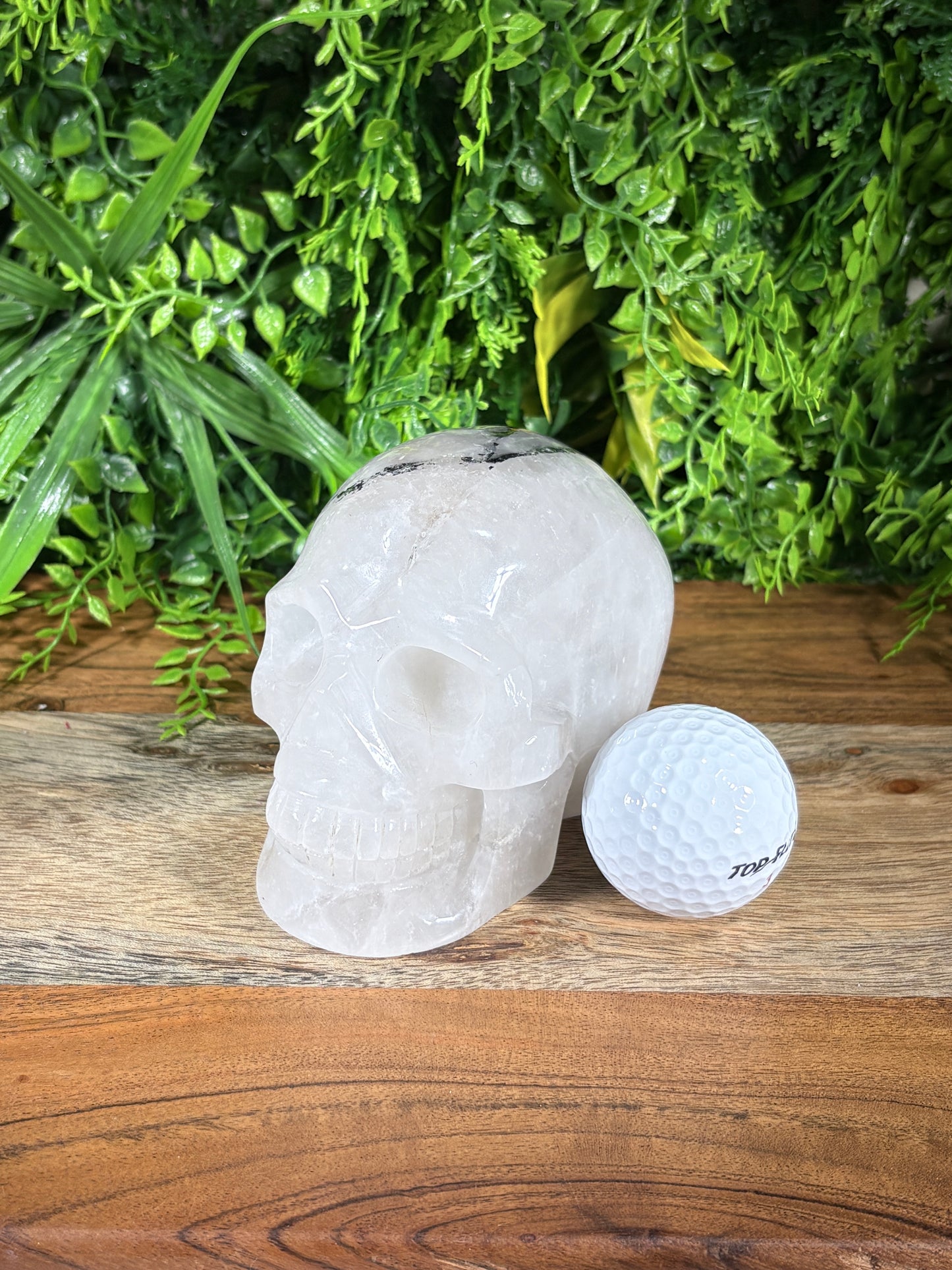 4.5" Tourmalinated Quartz Skull Protection • Clarity • Grounding - 2.20 lbs.