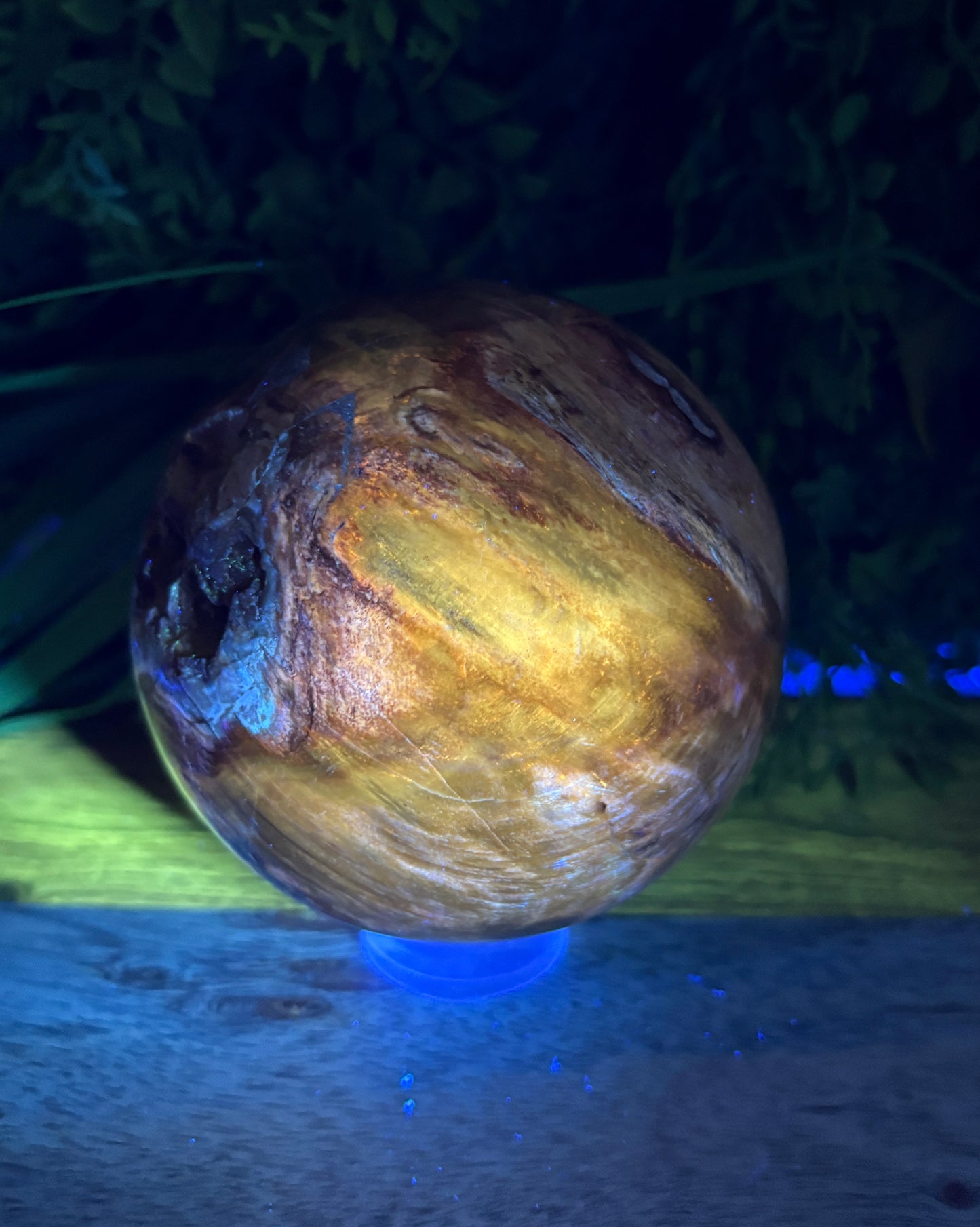 Petrified Wood Sphere with Open Cavern - Grounding • Ancient Wisdom • Transformation