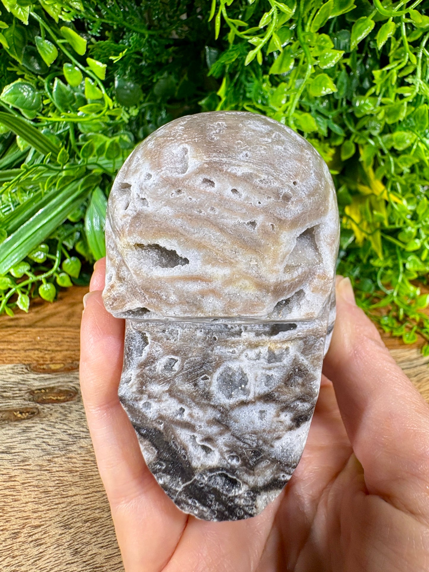Sphalerite Skull with Druzy Caverns -  Grounding • Confidence • Transformation
