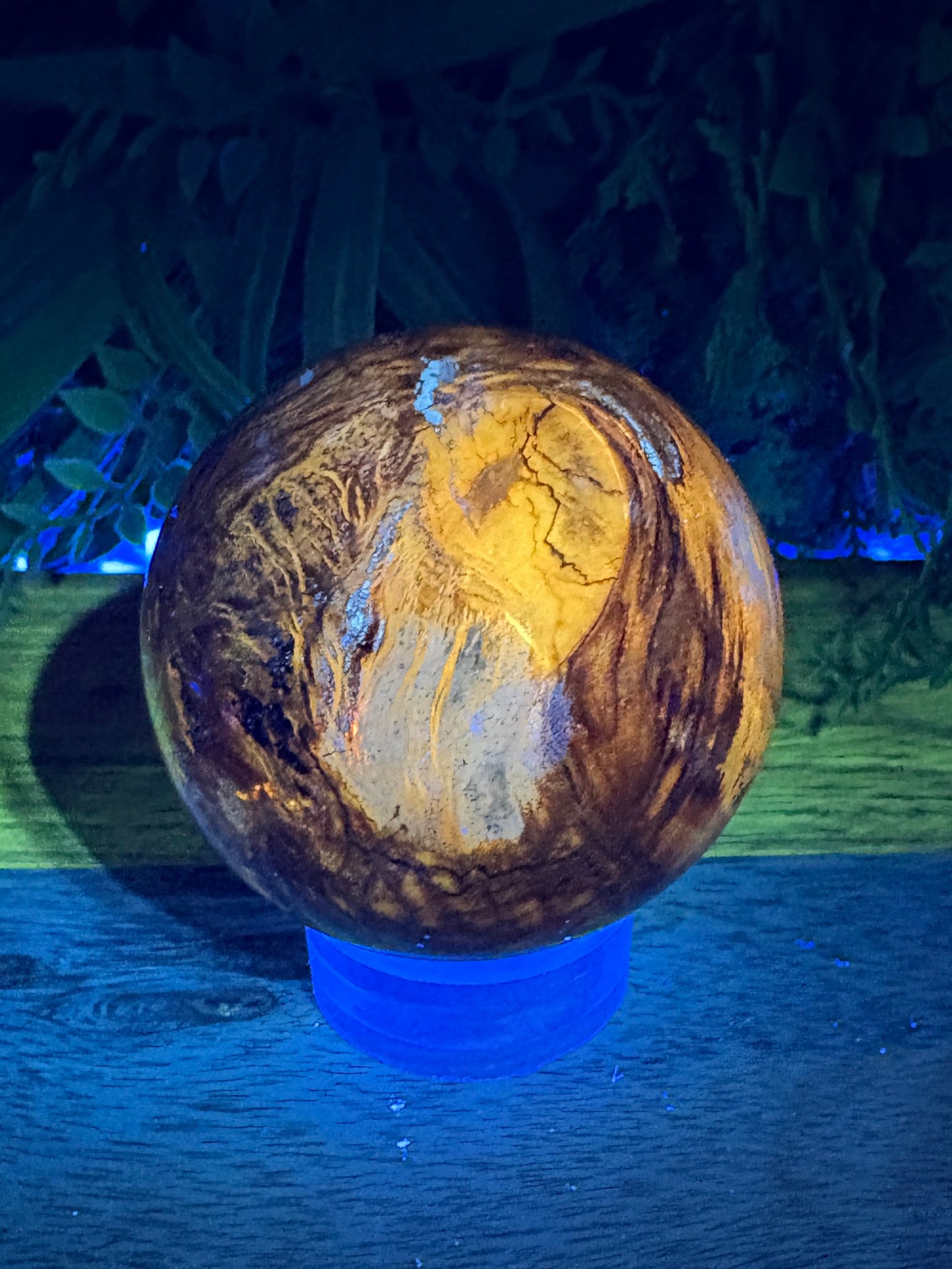 Petrified Wood Sphere • 59mm - Grounding • Ancient Wisdom • Transformation