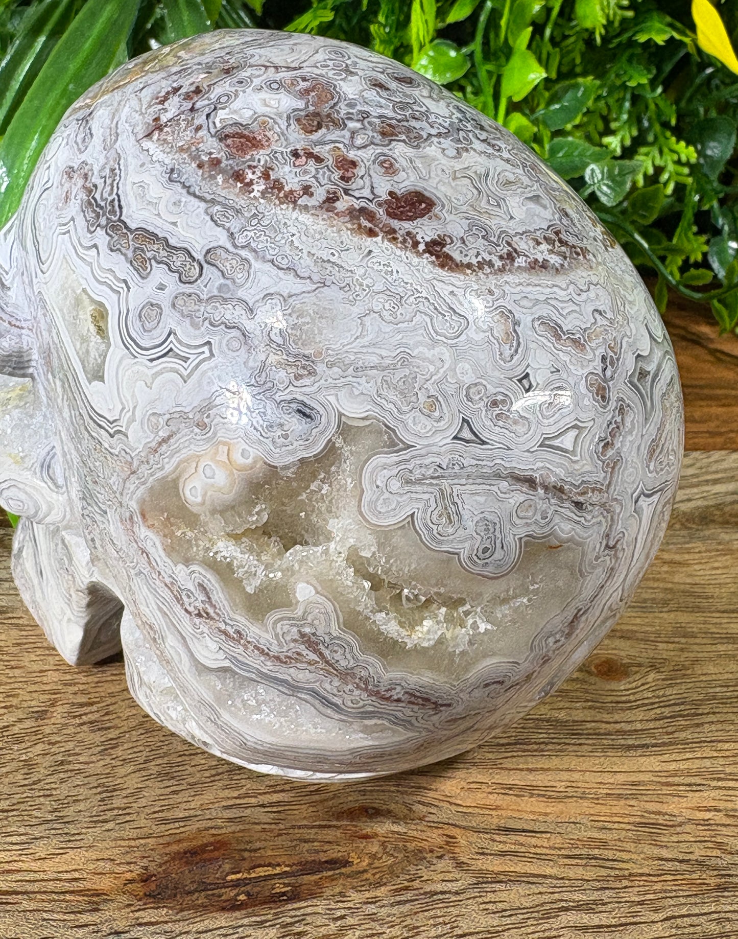 White Mexican Lace Agate Skull -  Balance • Clarity • Grounding