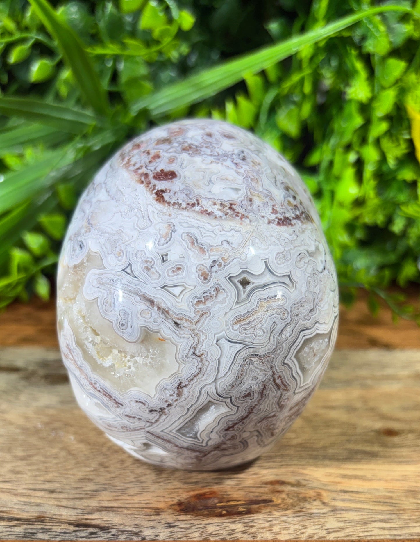 White Mexican Lace Agate Skull -  Balance • Clarity • Grounding